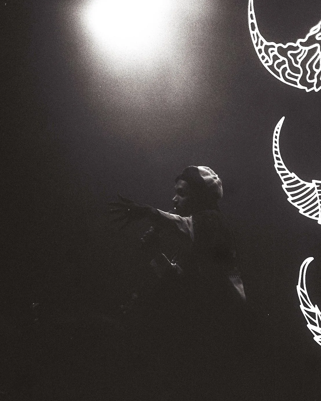 phonyppl (14 of 27).jpg