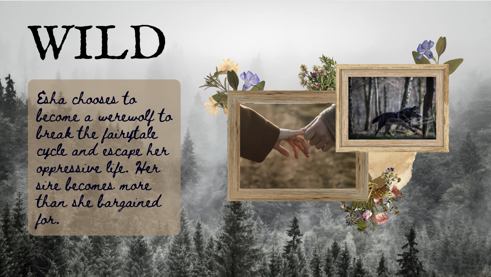 wild-image.png