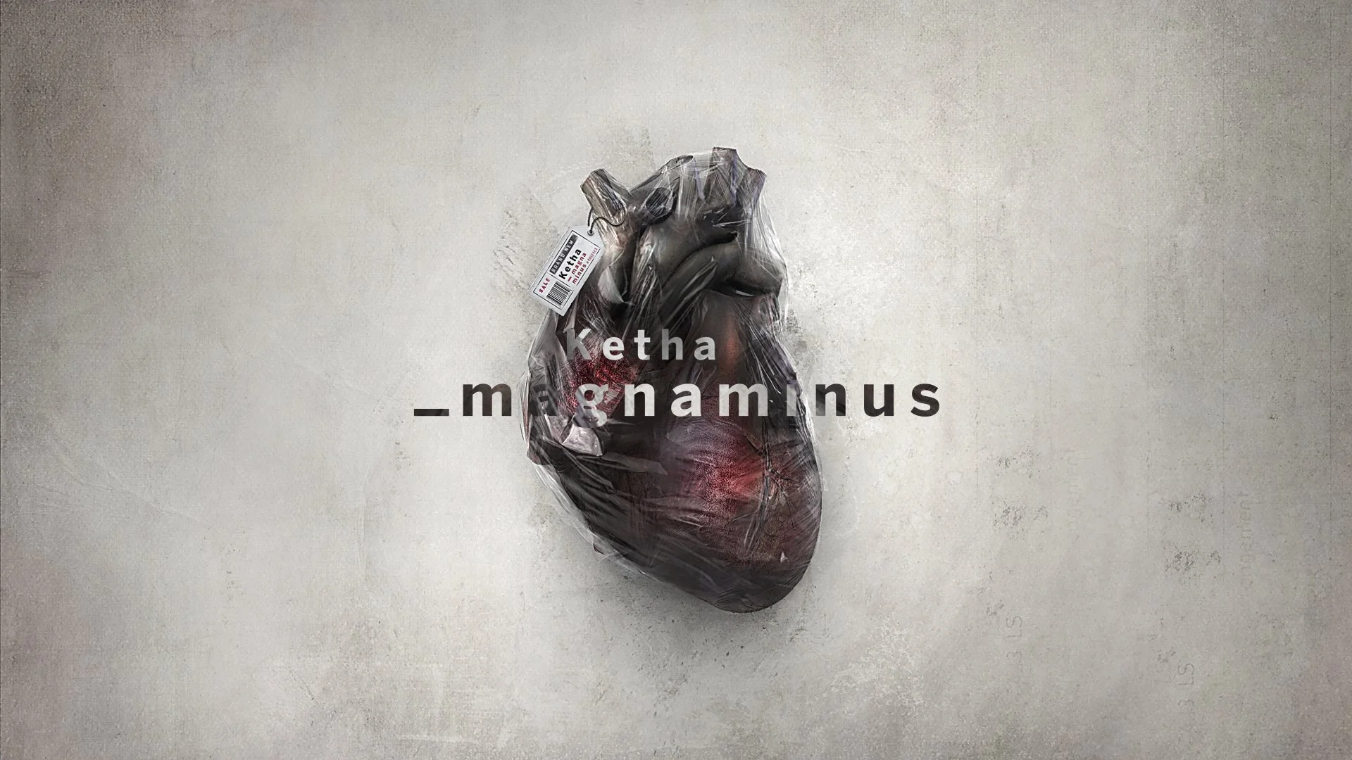 magnaminus_ytthumb.jpg