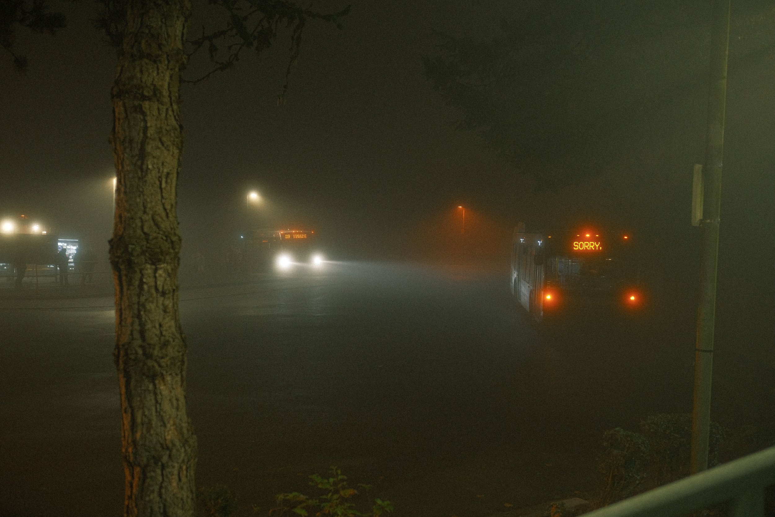 DSCF9312.jpg