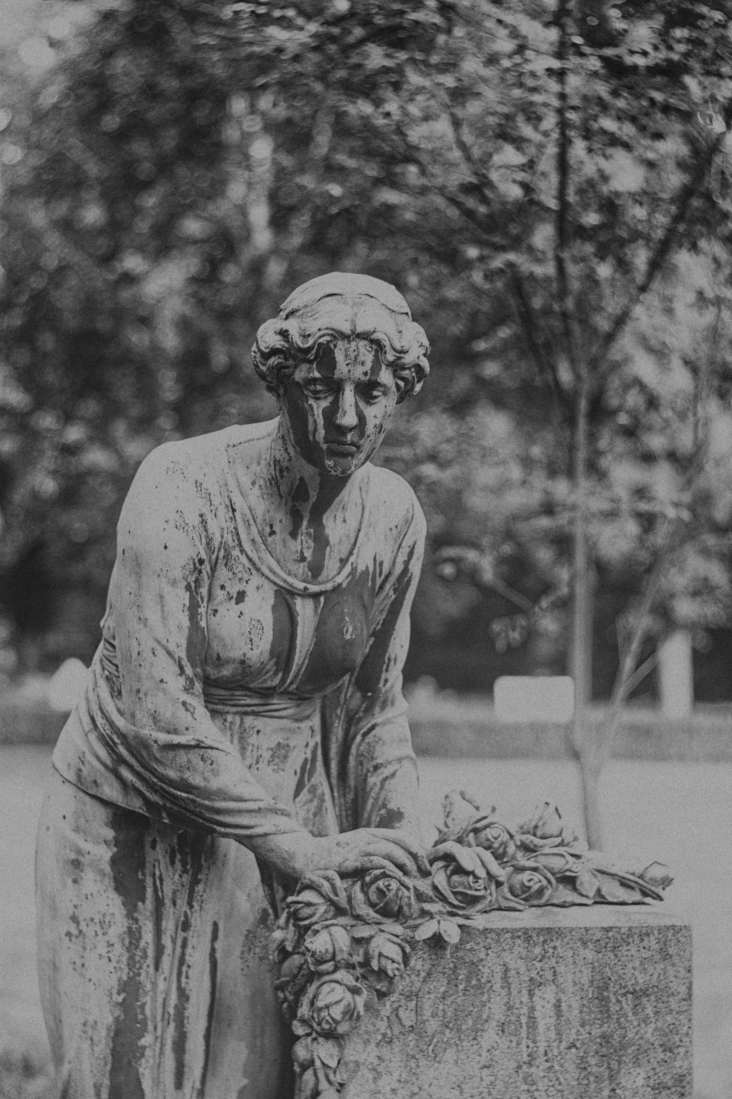 Frau mit Rosen Skulptur BW NIK.jpg