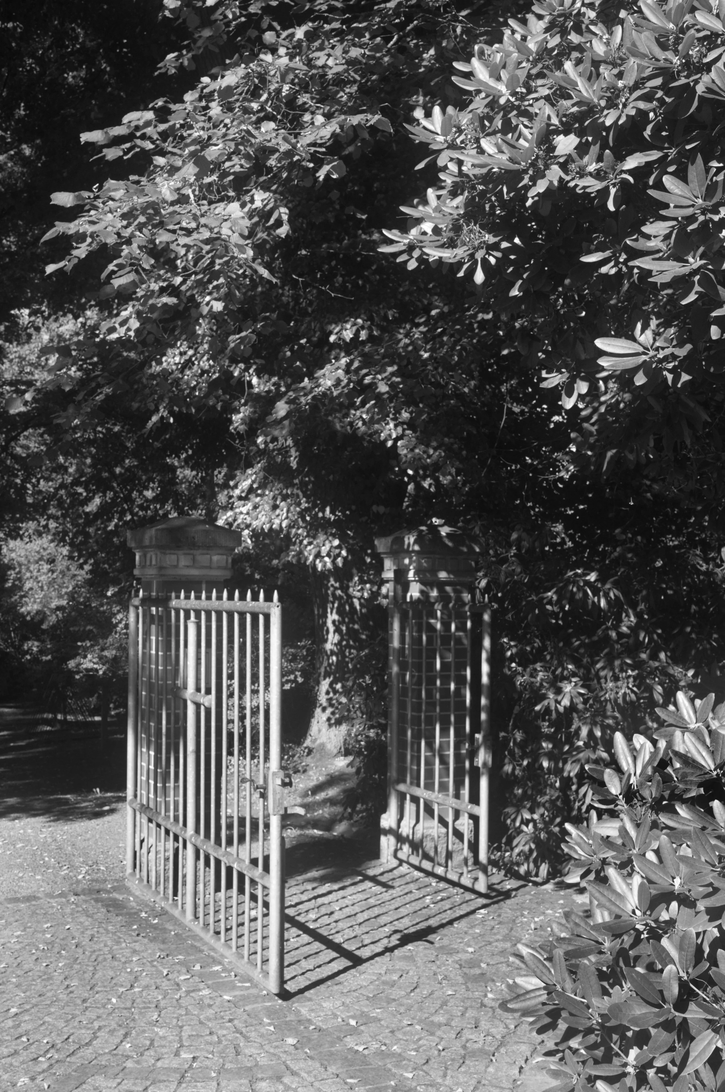 Kleines Tor Friedhof St. Michaelis.jpg