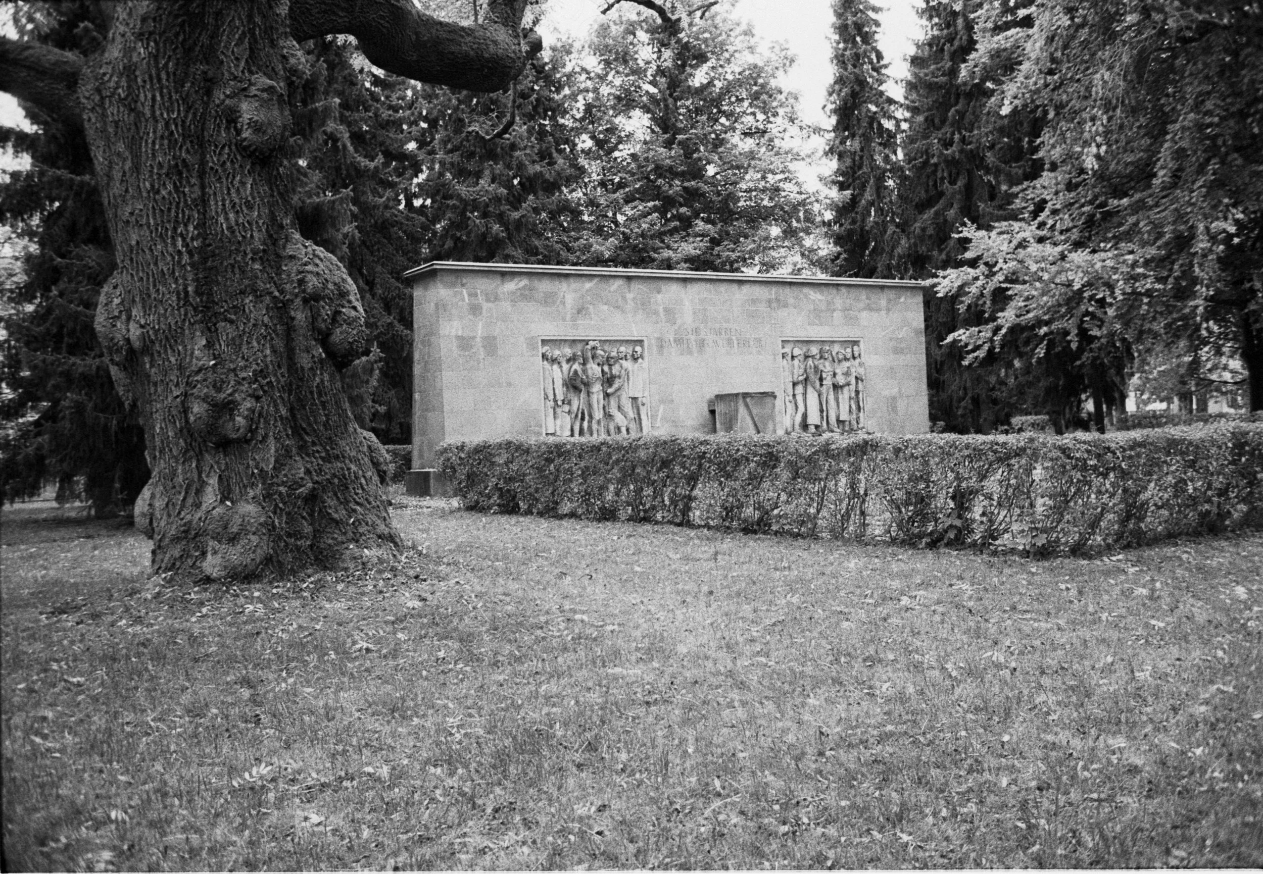 Denkmal Park der Opfer dF 3 SE.jpg