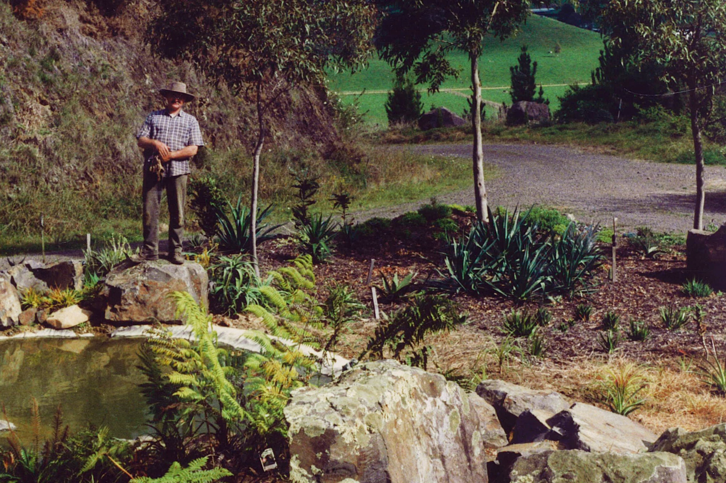 Development of the Waitakaruru Arboretum 010 - 1.jpg