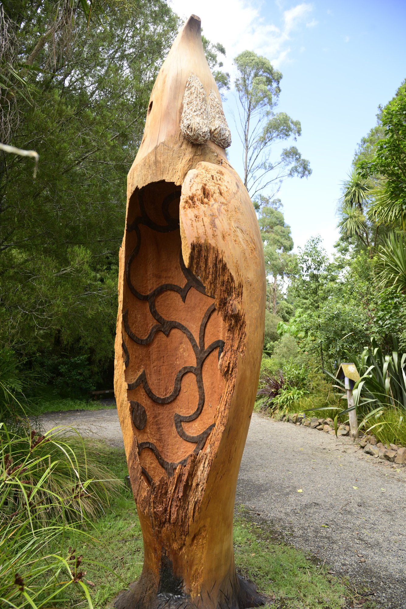 Totara tui 2.JPG