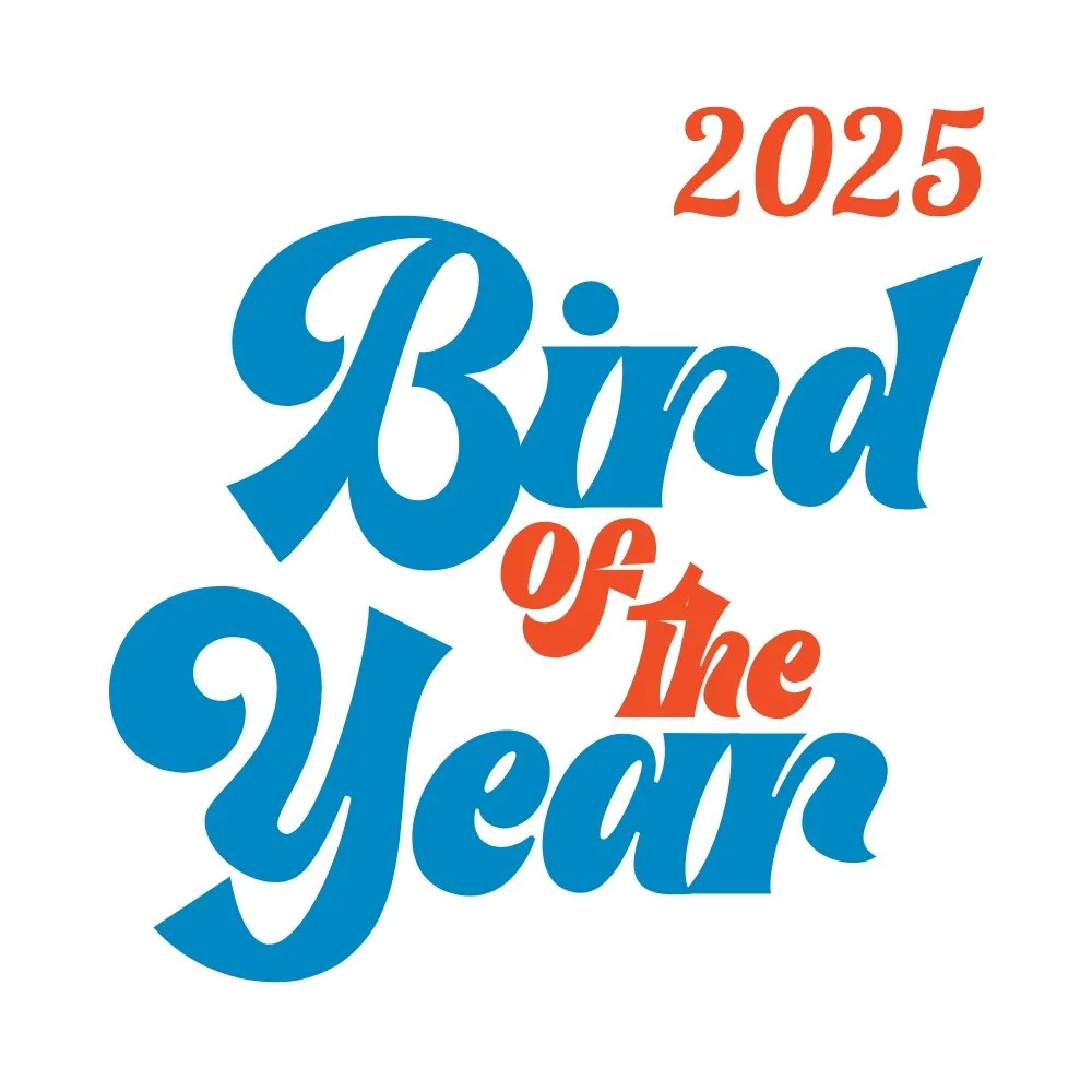 Bird of the Year Voting