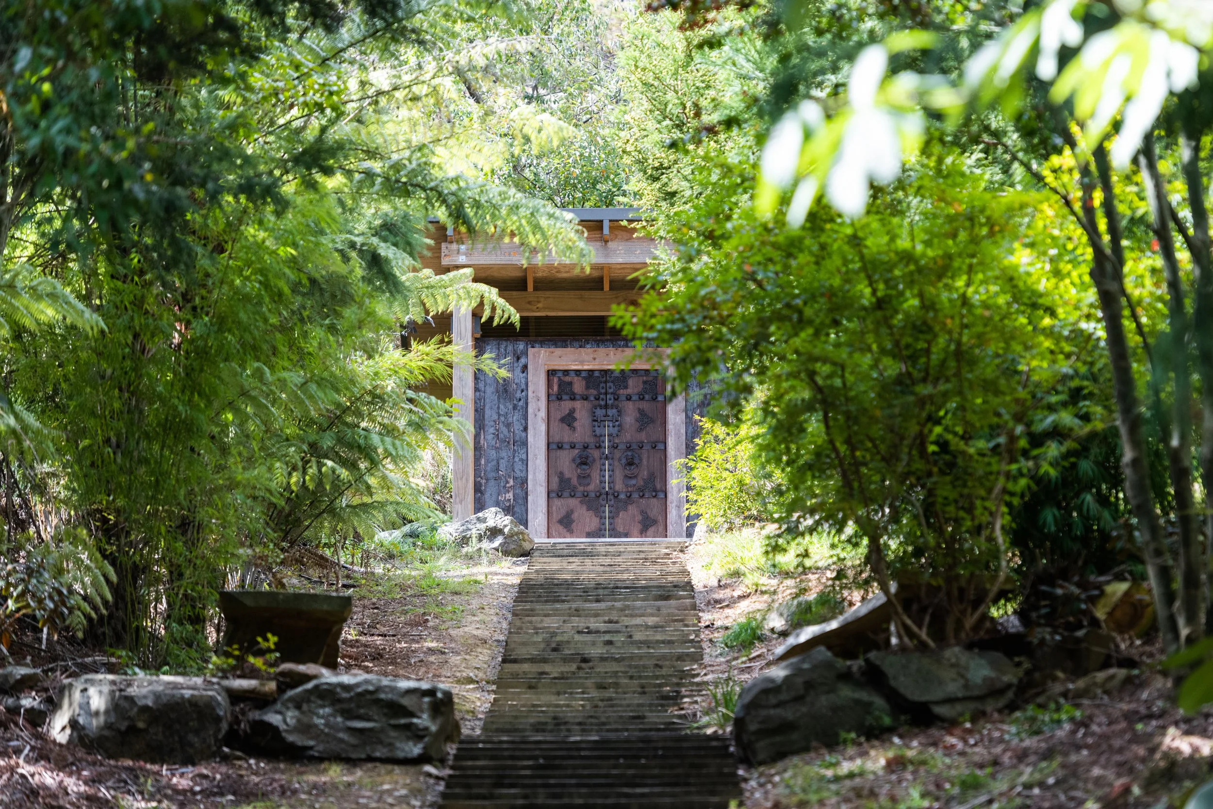 Translation - New Exhibition