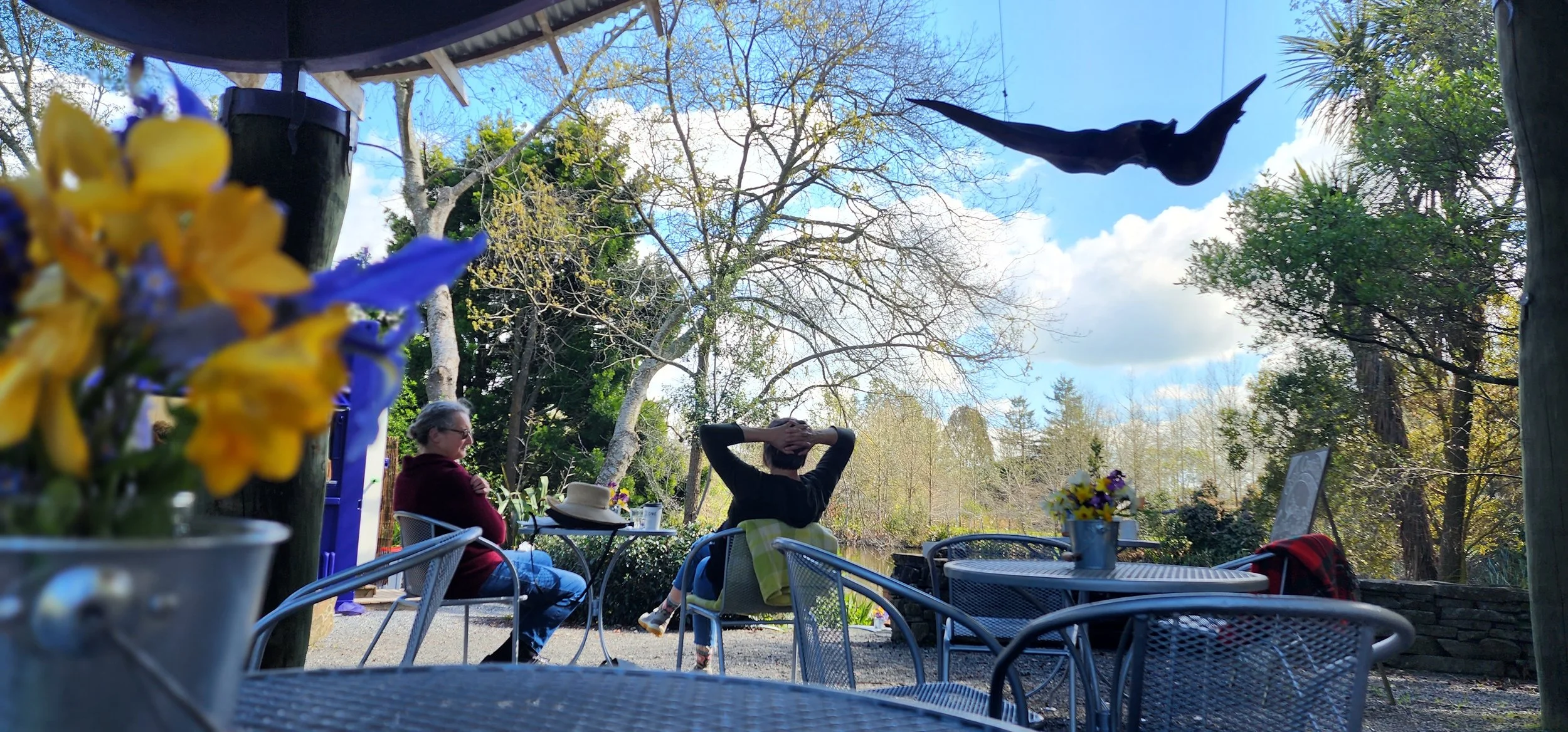 Enjoying the view.jpg