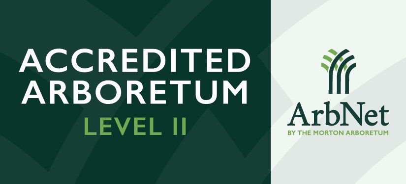 Achieving LEVEL 11 Accreditation
