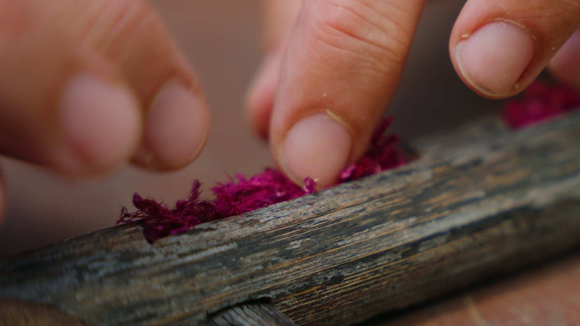 LETS MAKE A RAFT 2026.00_00_10_24.Still001.jpg