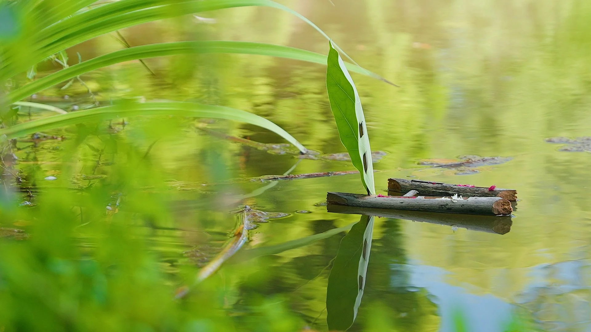 LETS MAKE A RAFT 2026.00_00_37_23.Still007.jpg