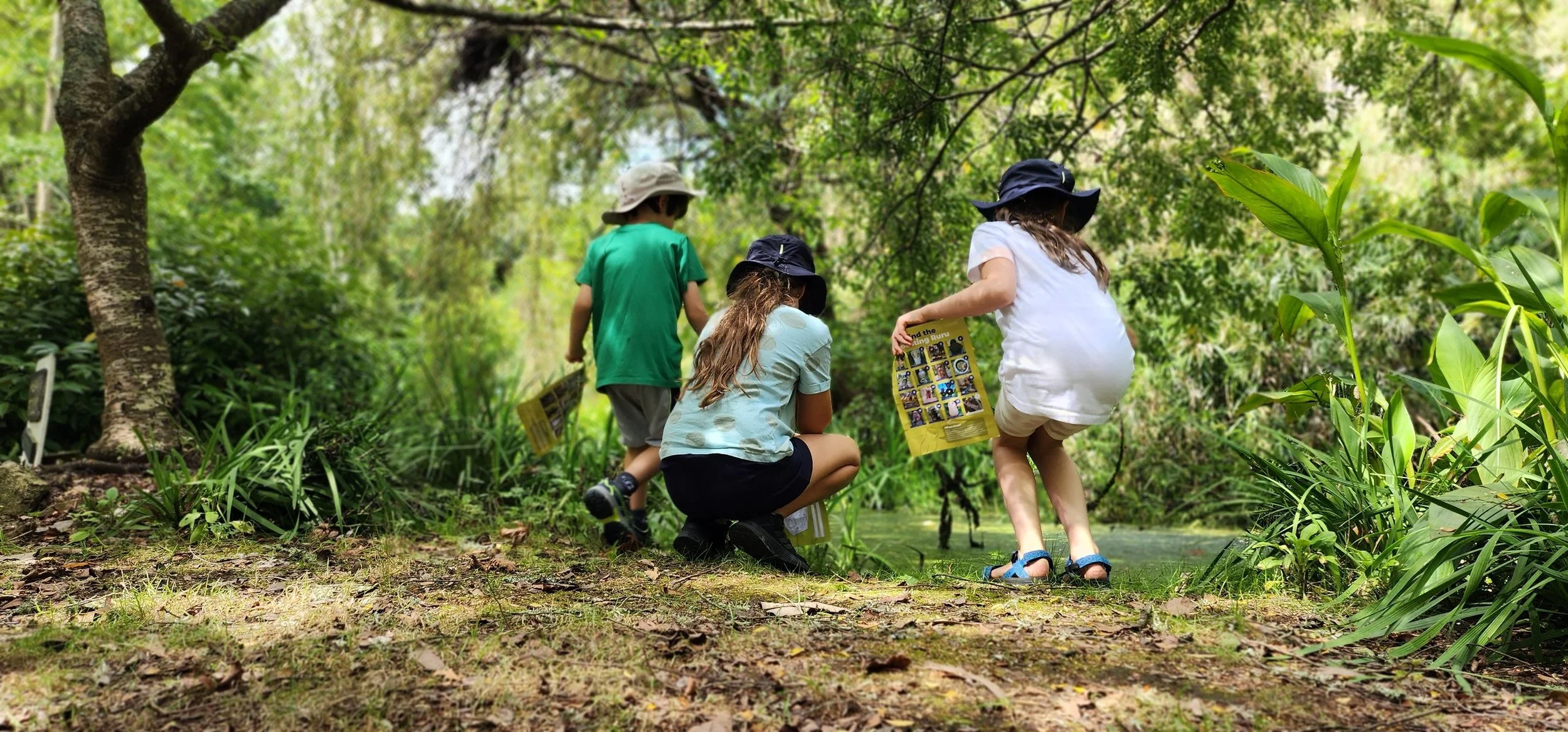 Roosting ruru children.jpg