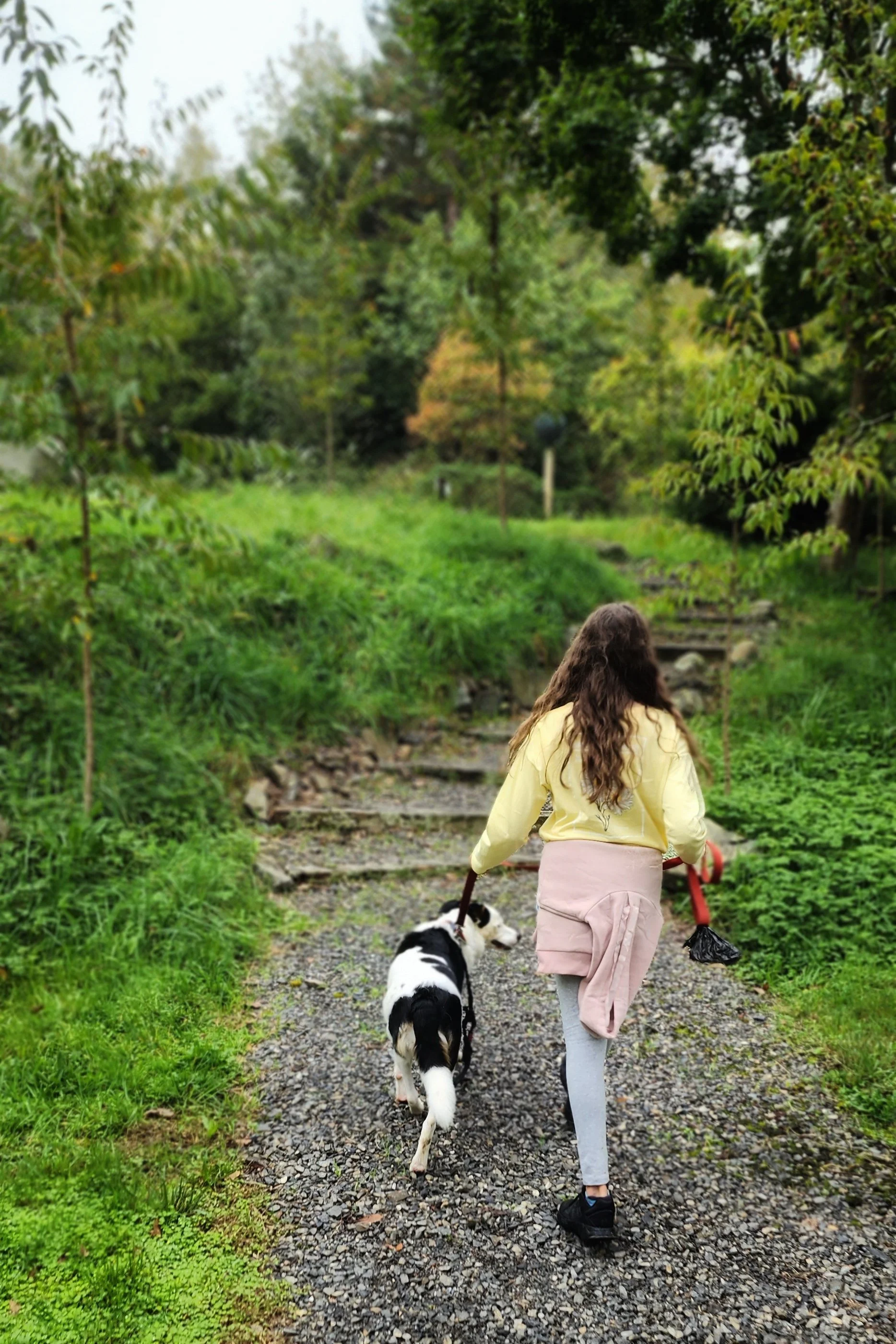 Dog Day at The Sculpture Park