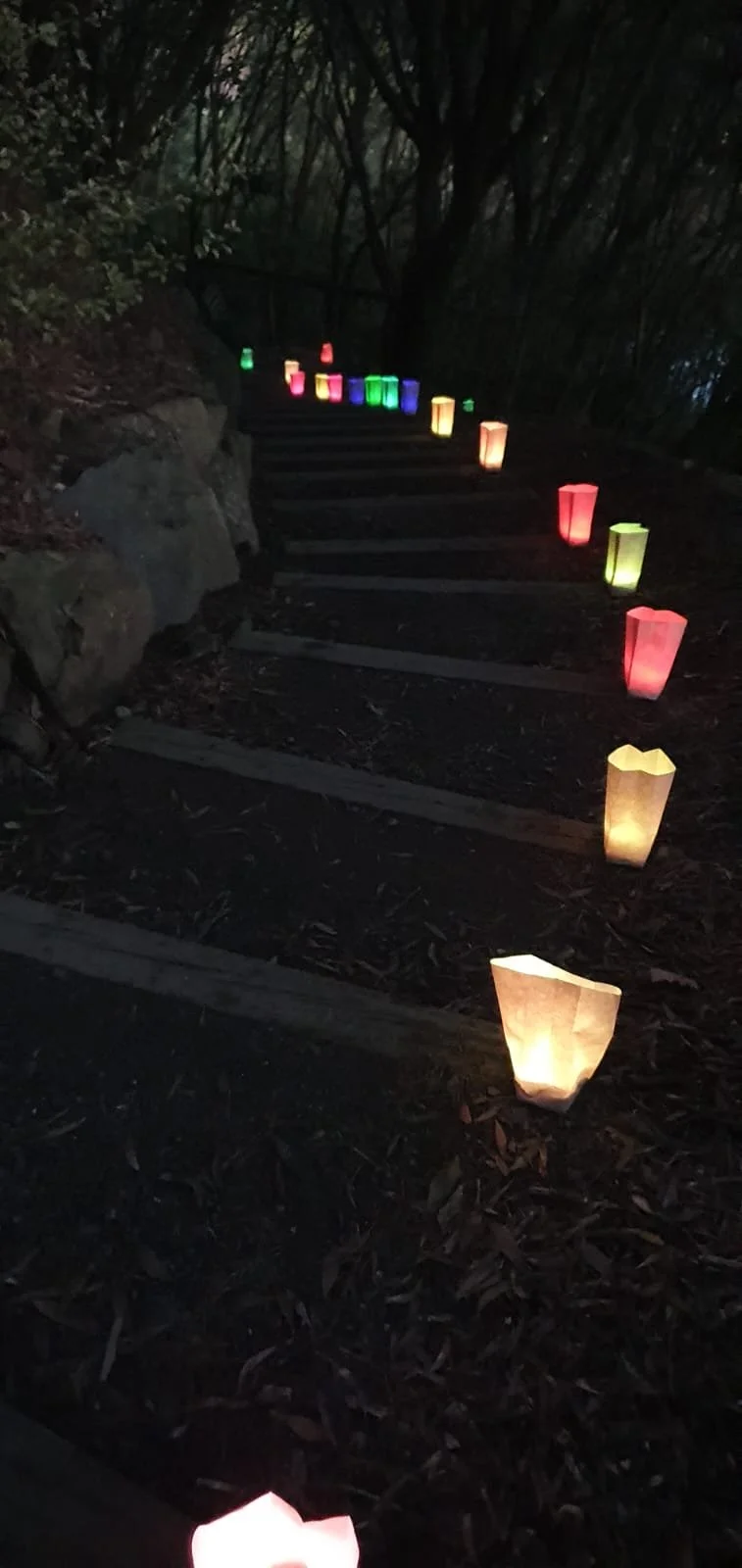 A special “Night Walk” to celebrate Matariki