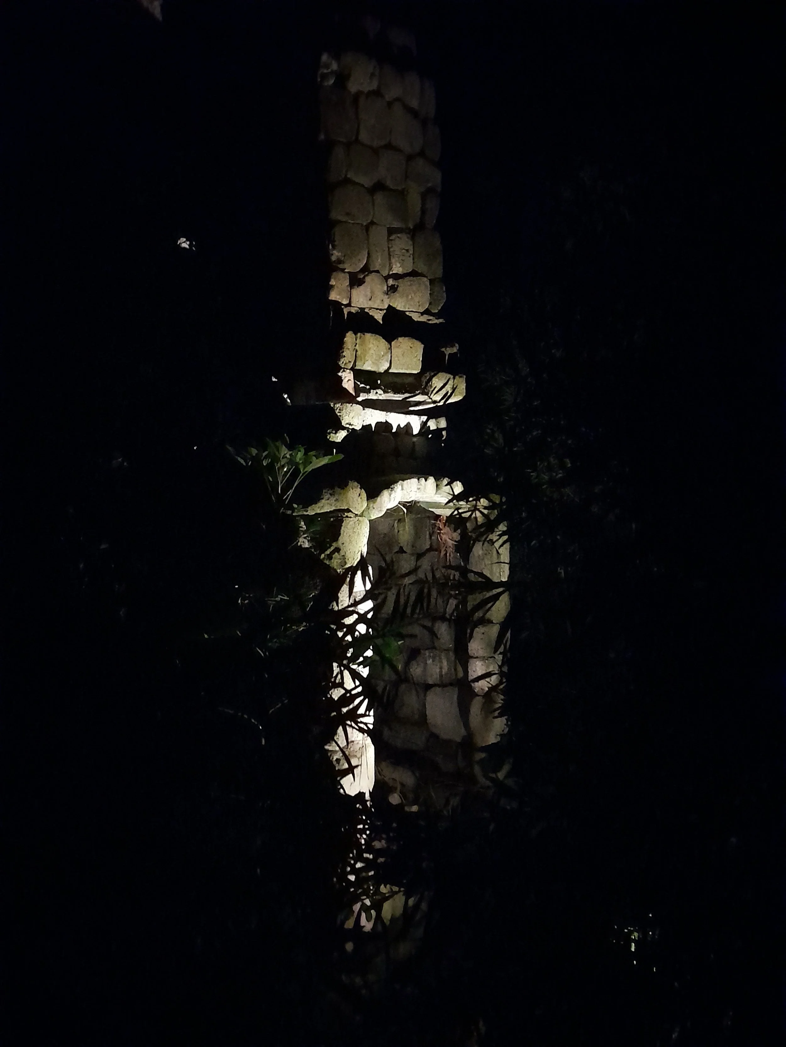 arboretum_matariki3.jpg
