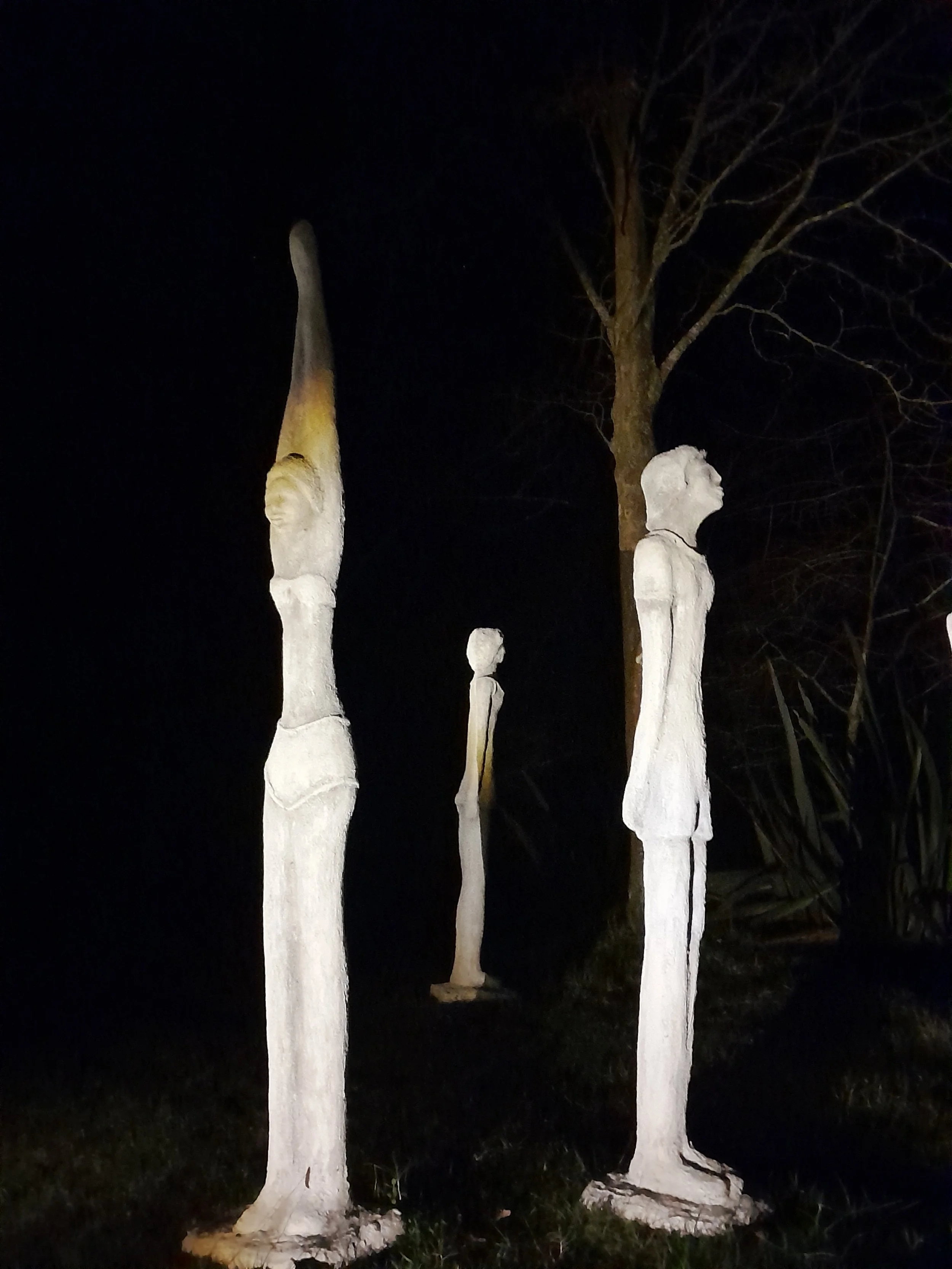 arboretum_matariki4.jpg