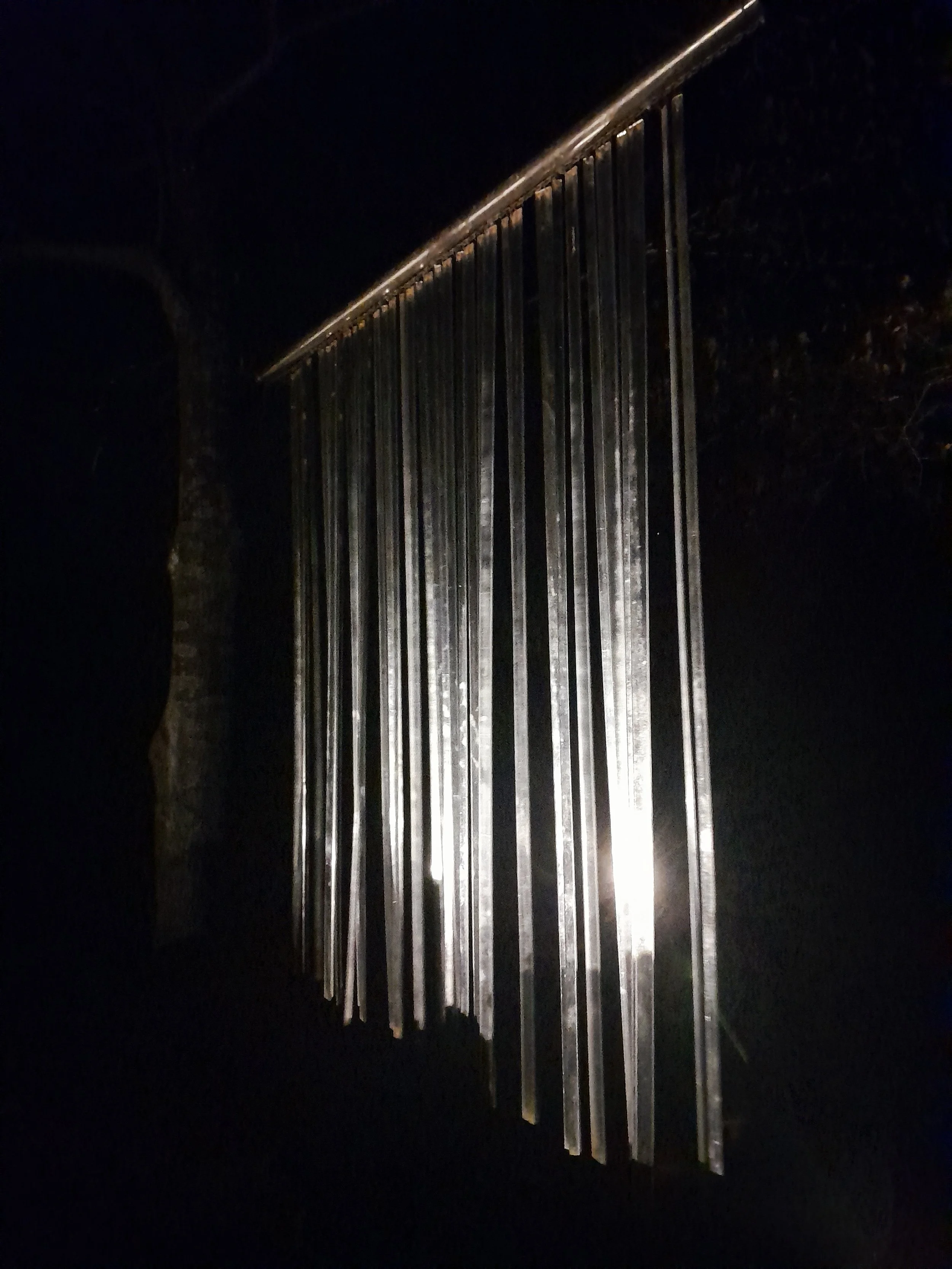 arboretum_matariki6.jpg