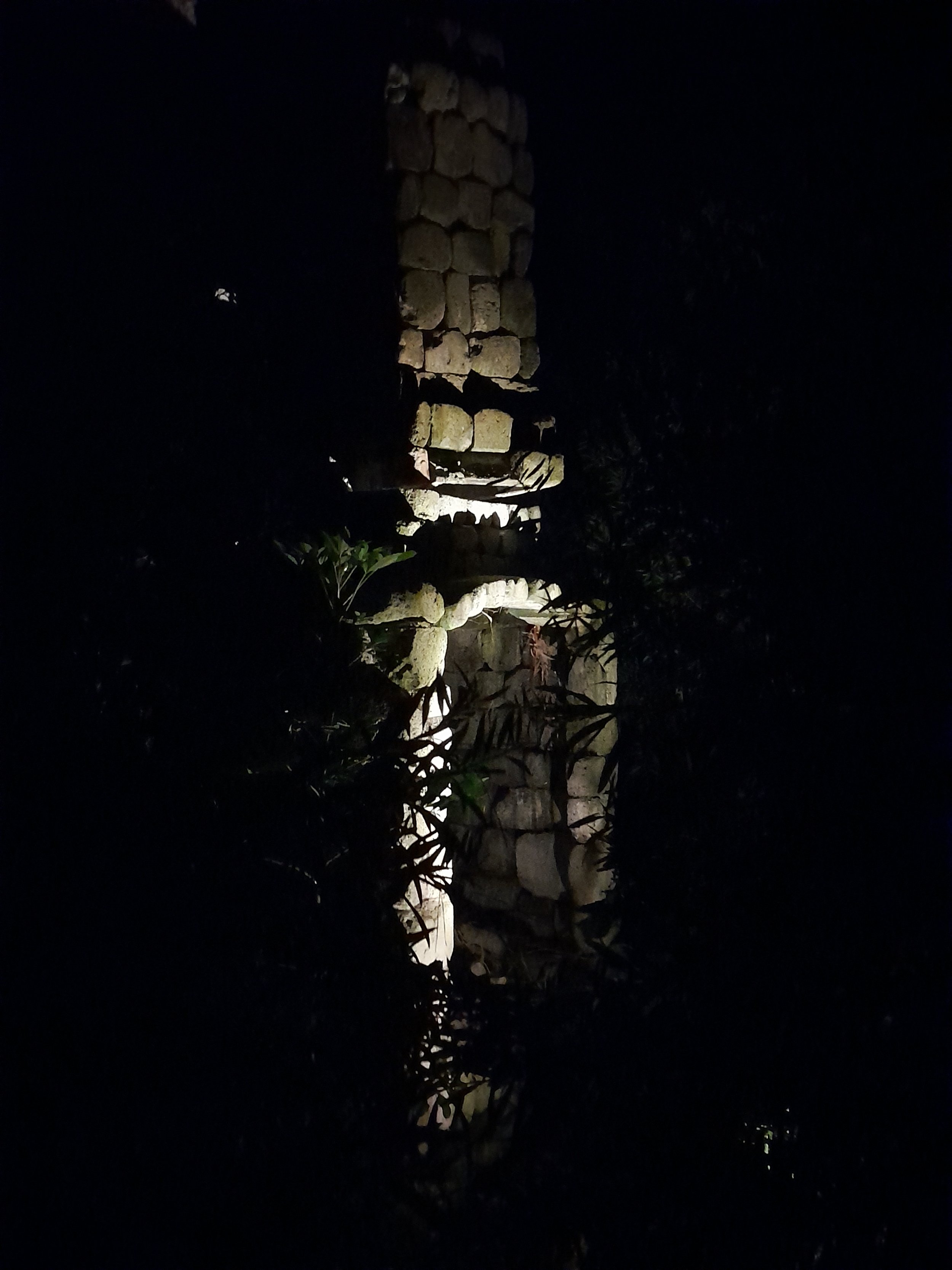 arboretum_matariki3.jpg