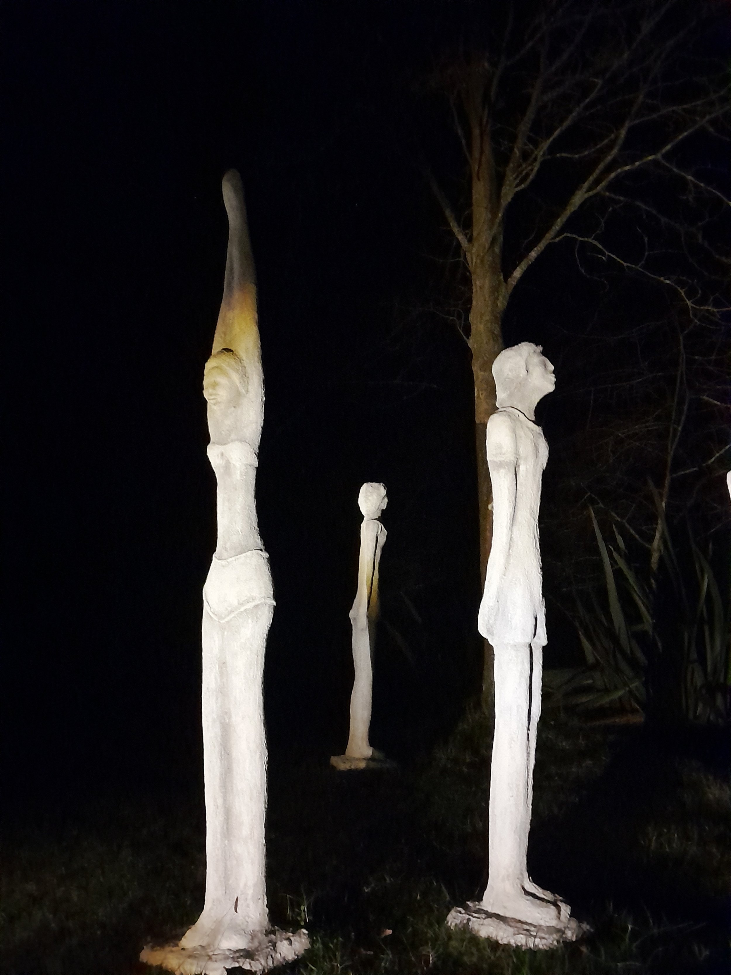 arboretum_matariki4.jpg