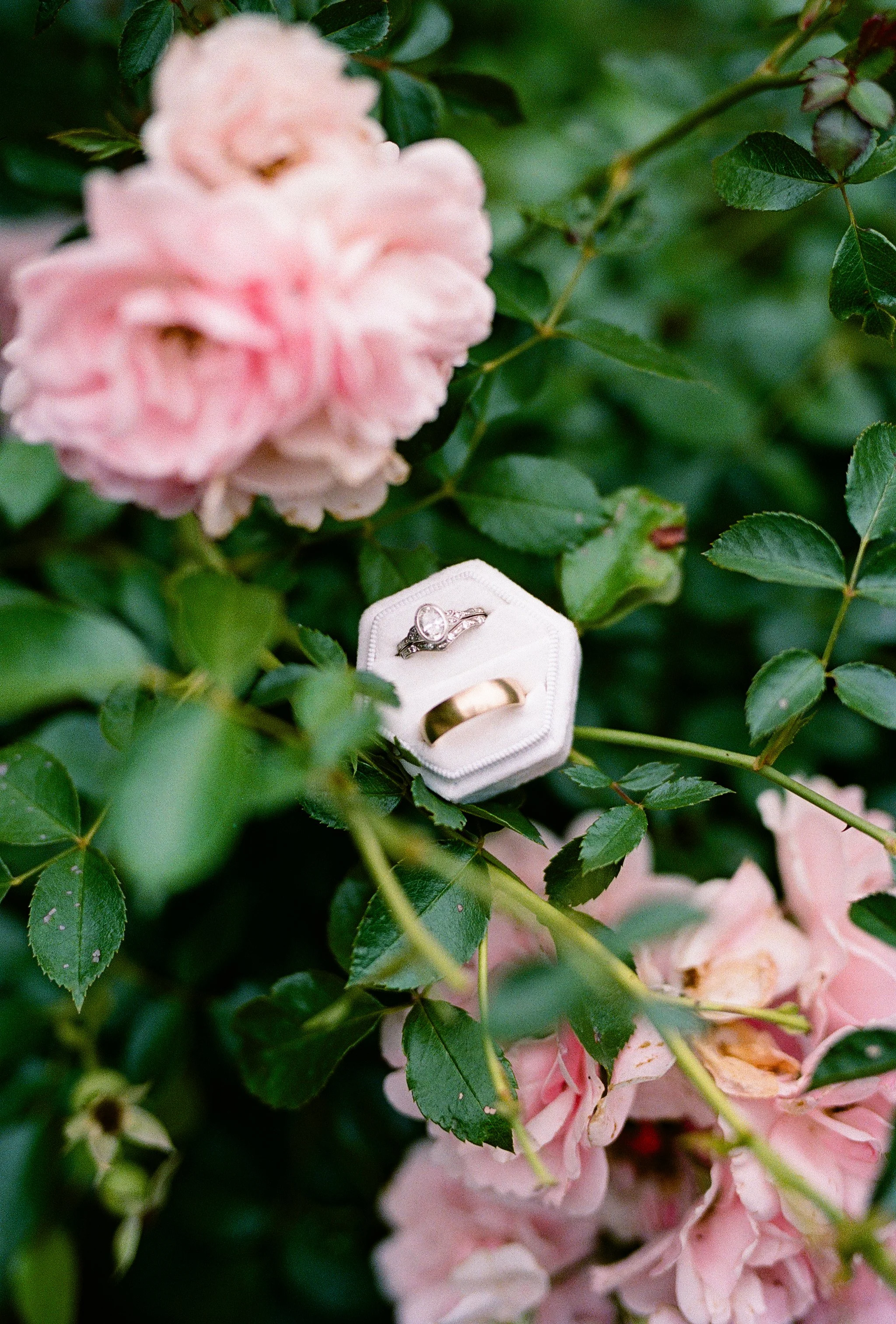 CheekyeRanchWedding_JuliaHindyPhoto-3.jpg