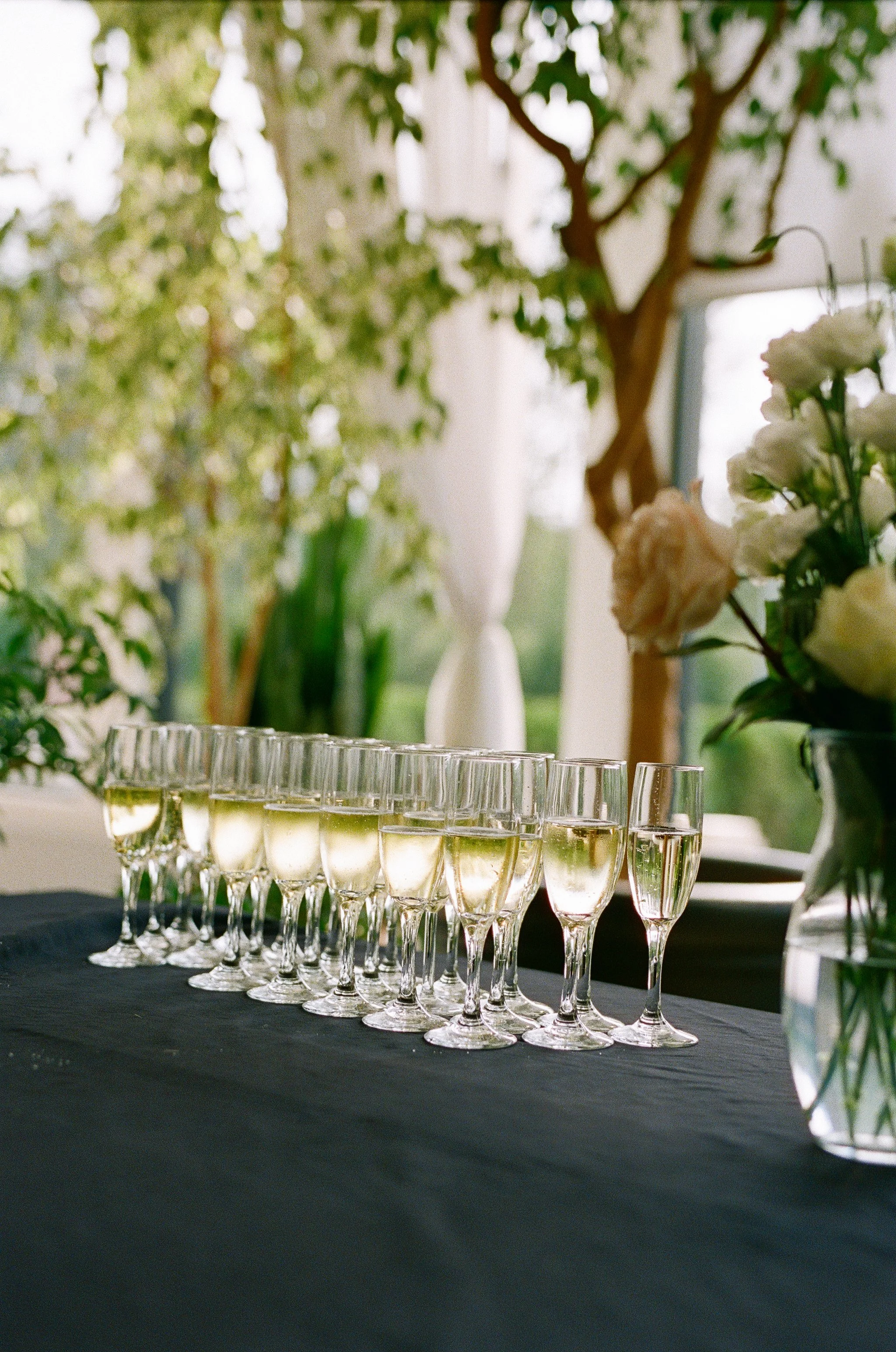 bridlewoods event center wedding photographer chilliwack-203.jpg