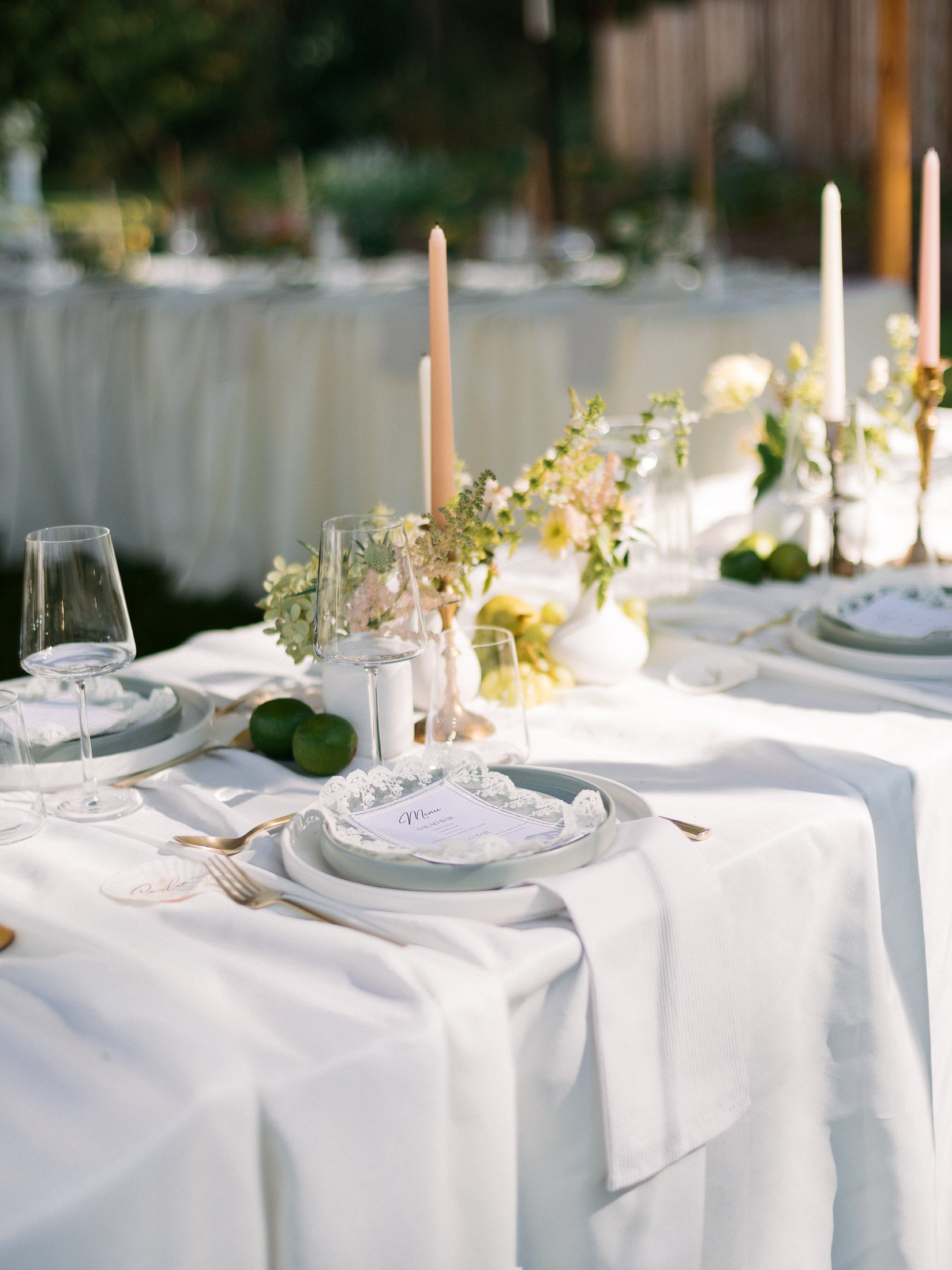 Modern Luxury Backyard Wedding Langley BC-25.jpg