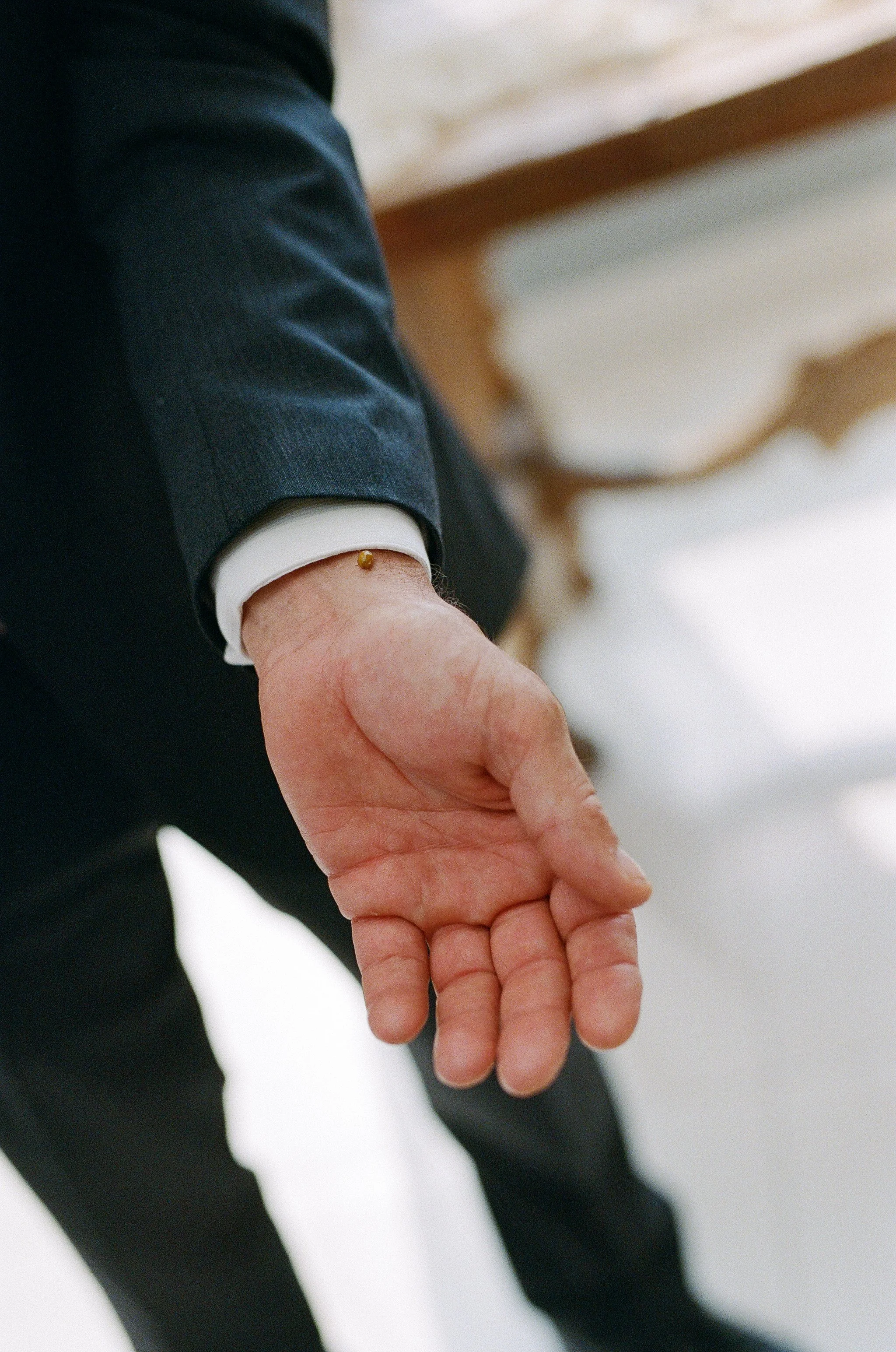 bridlewoods event center wedding photographer chilliwack-183.jpg