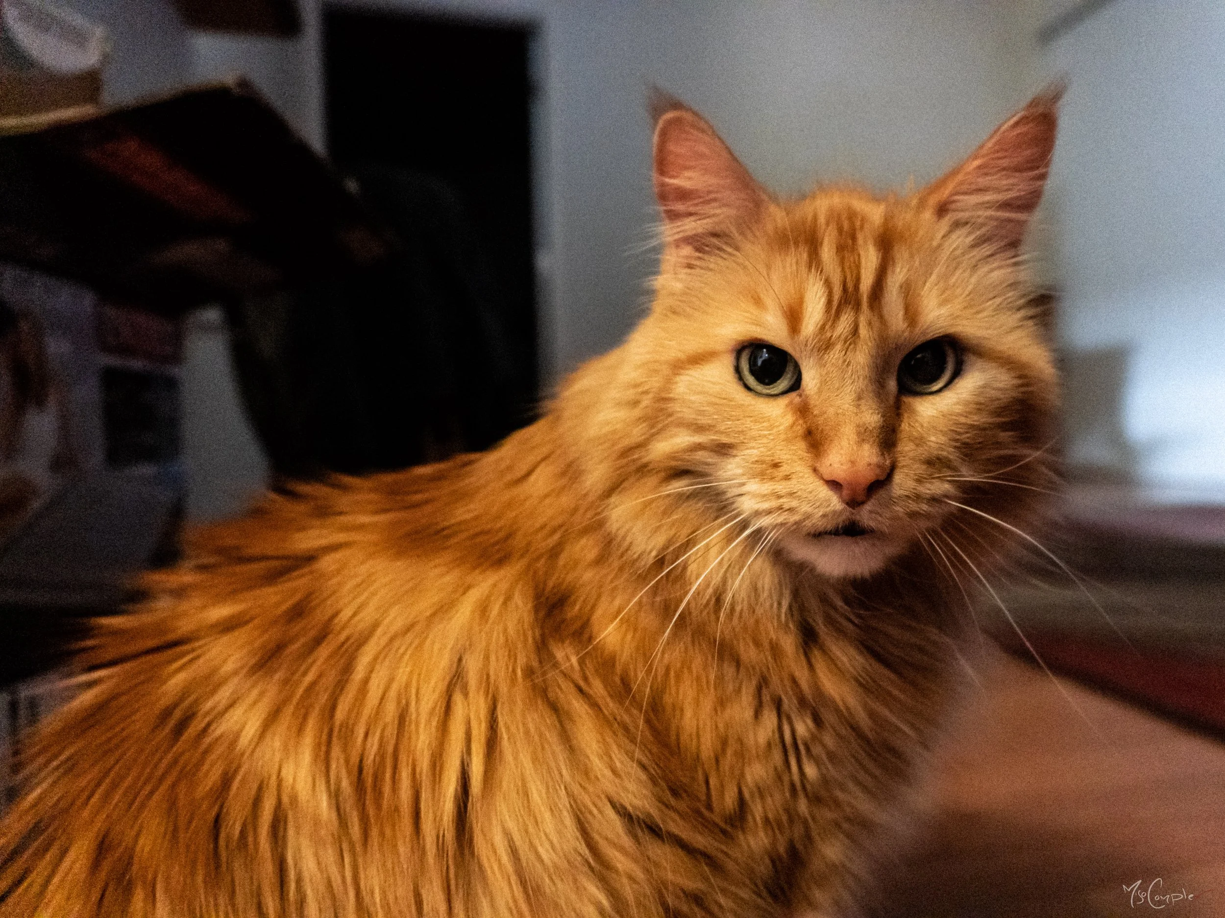 20221023-47.jpg