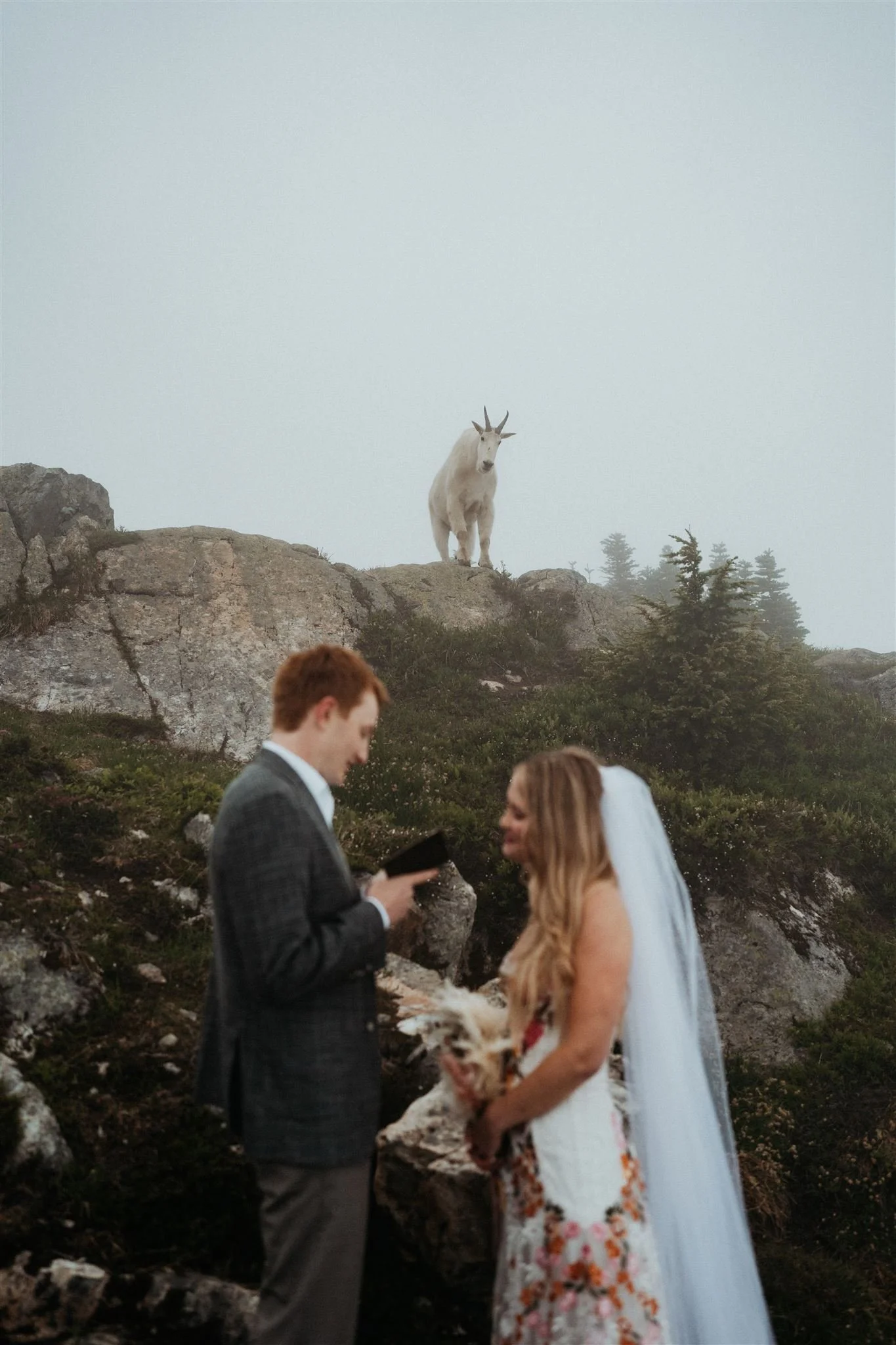 Jess-Colton-Wedding-971_websize.jpg