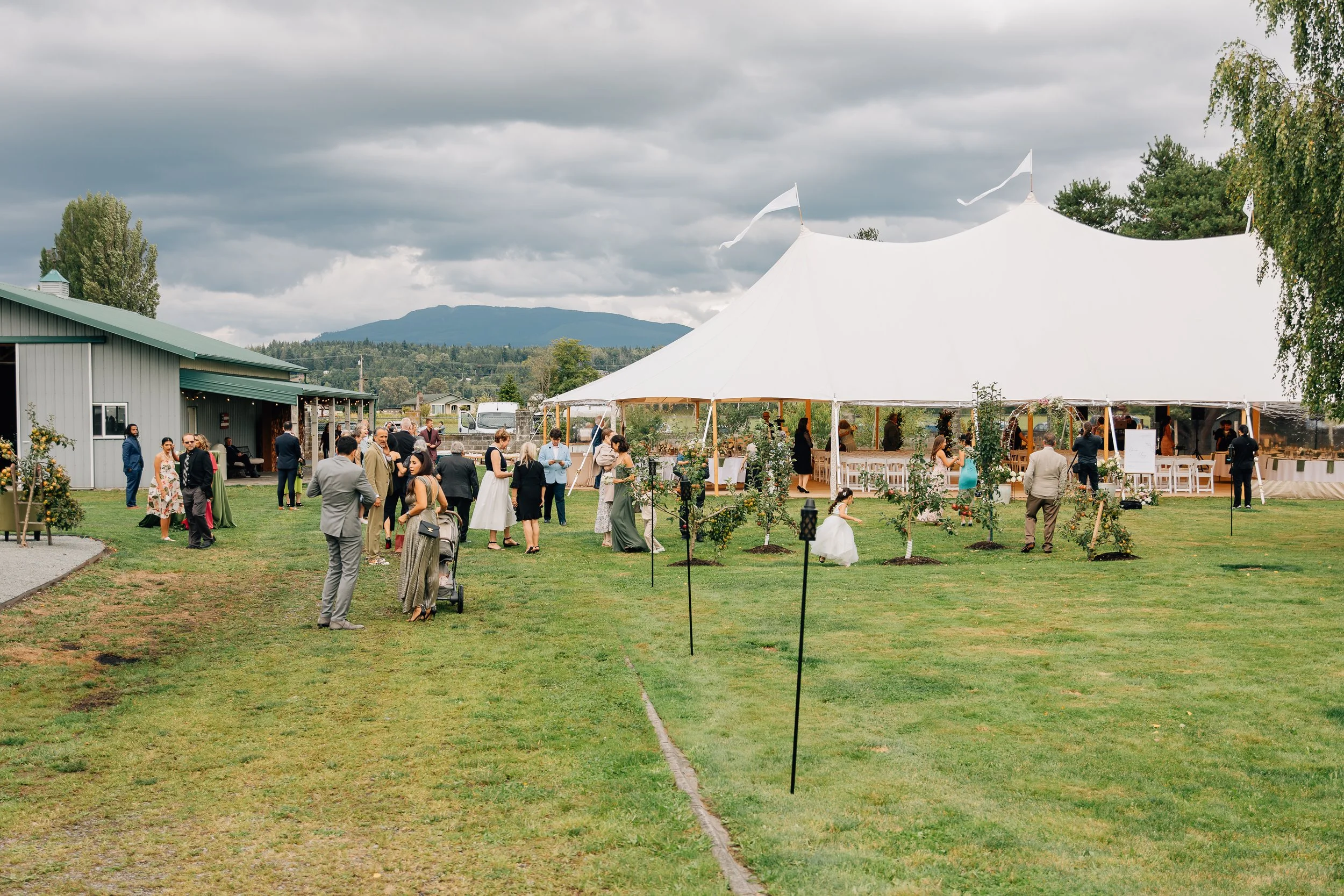 WildGrassPhotography-829.jpg
