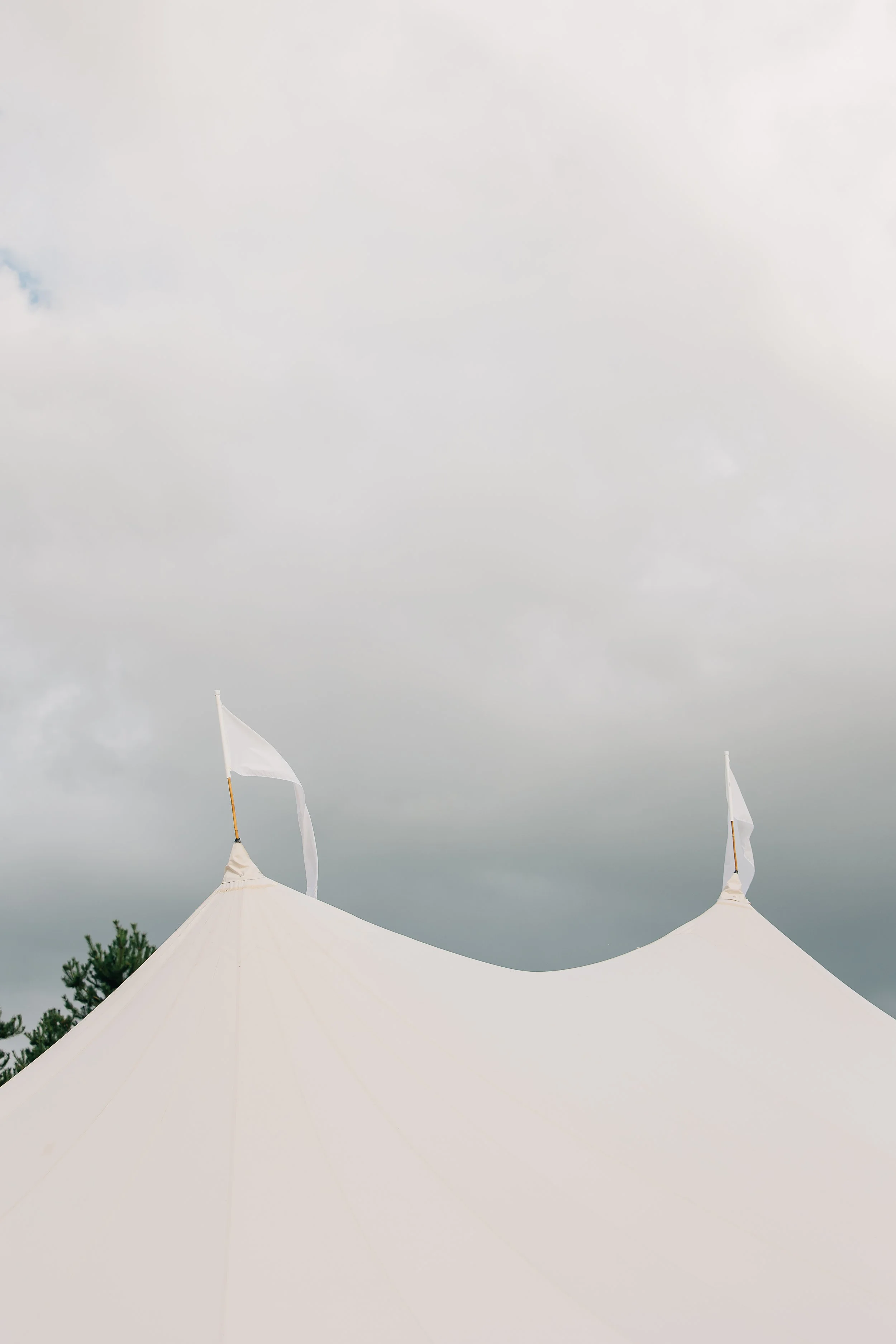 WildGrassPhotography-1345.jpg