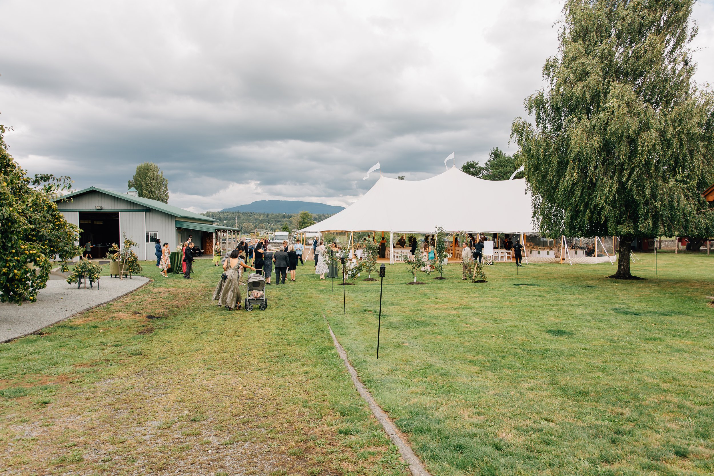 WildGrassPhotography-828.jpg