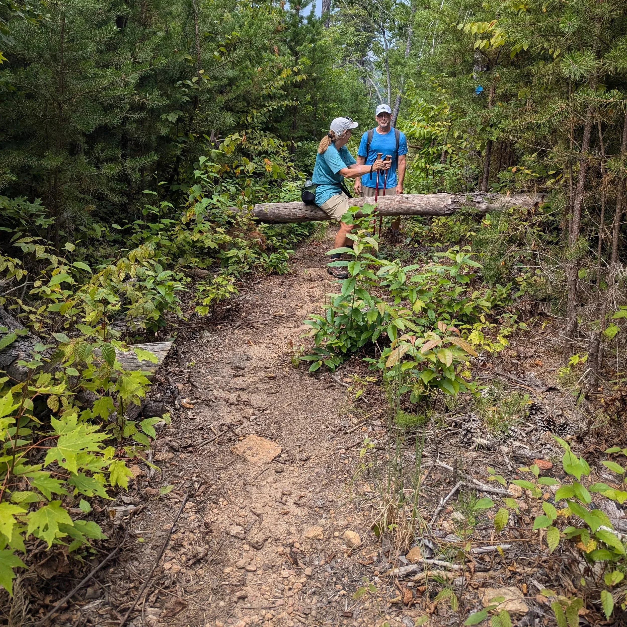 What is discernment counseling?