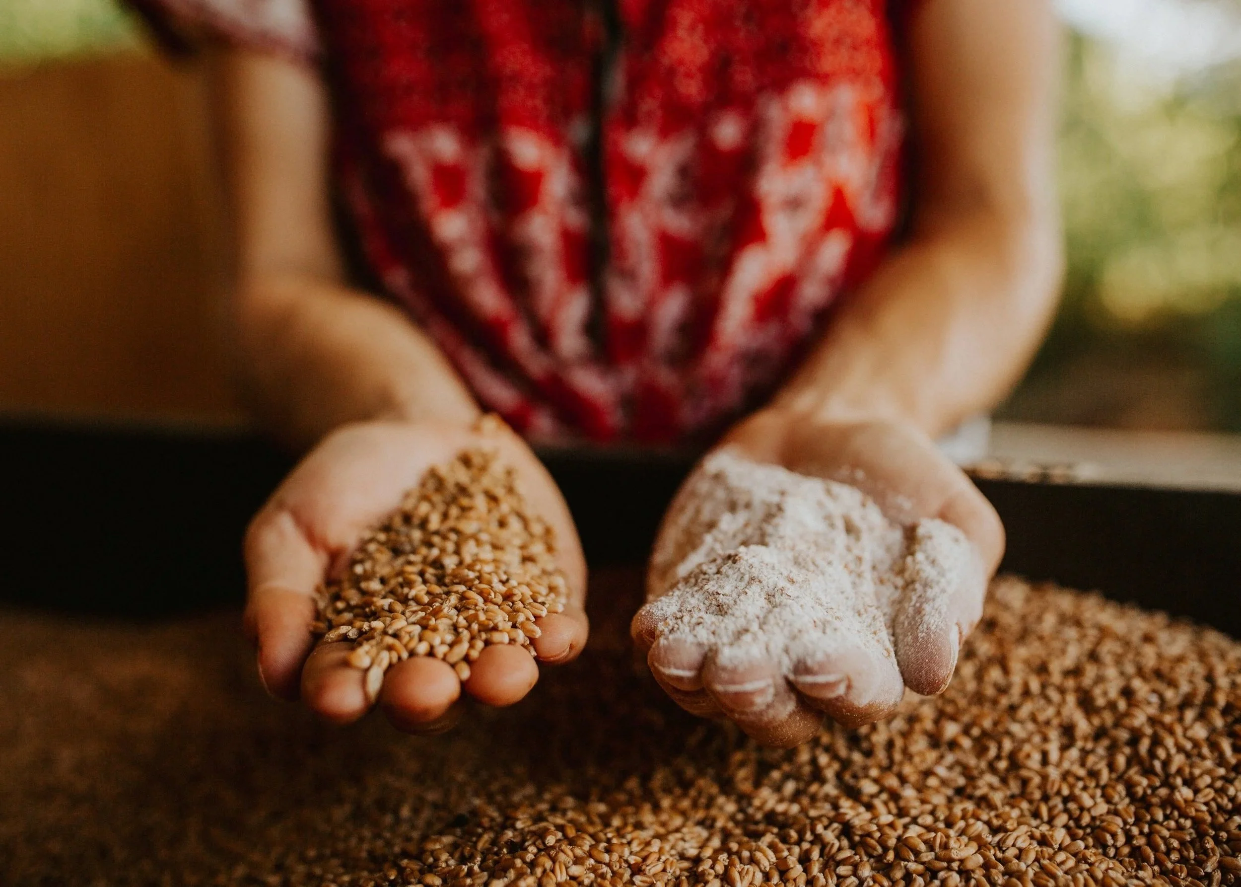 Half Pantry Reset - Monthly Subscription