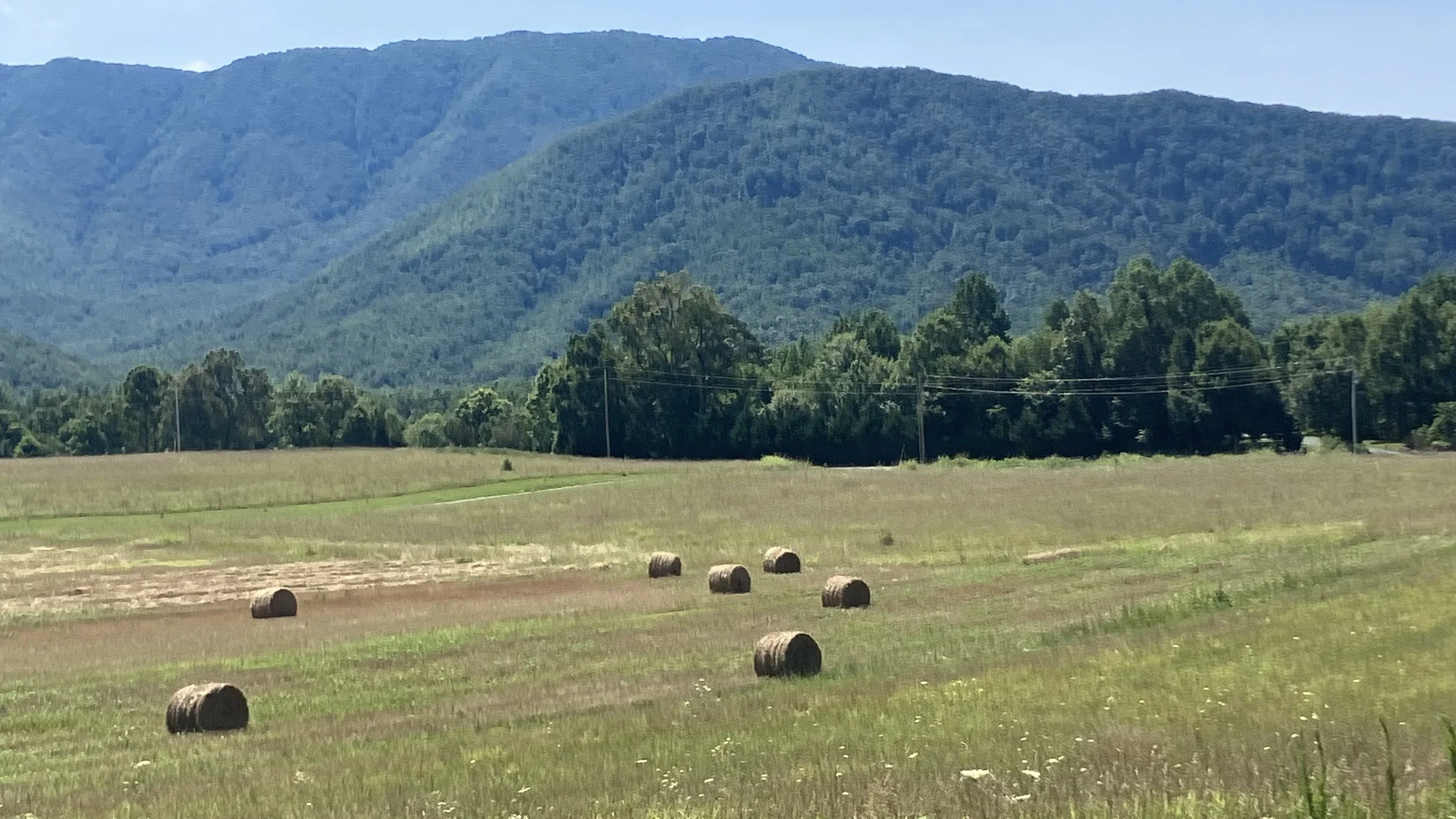 Organic, No Spray Straw Round Bales