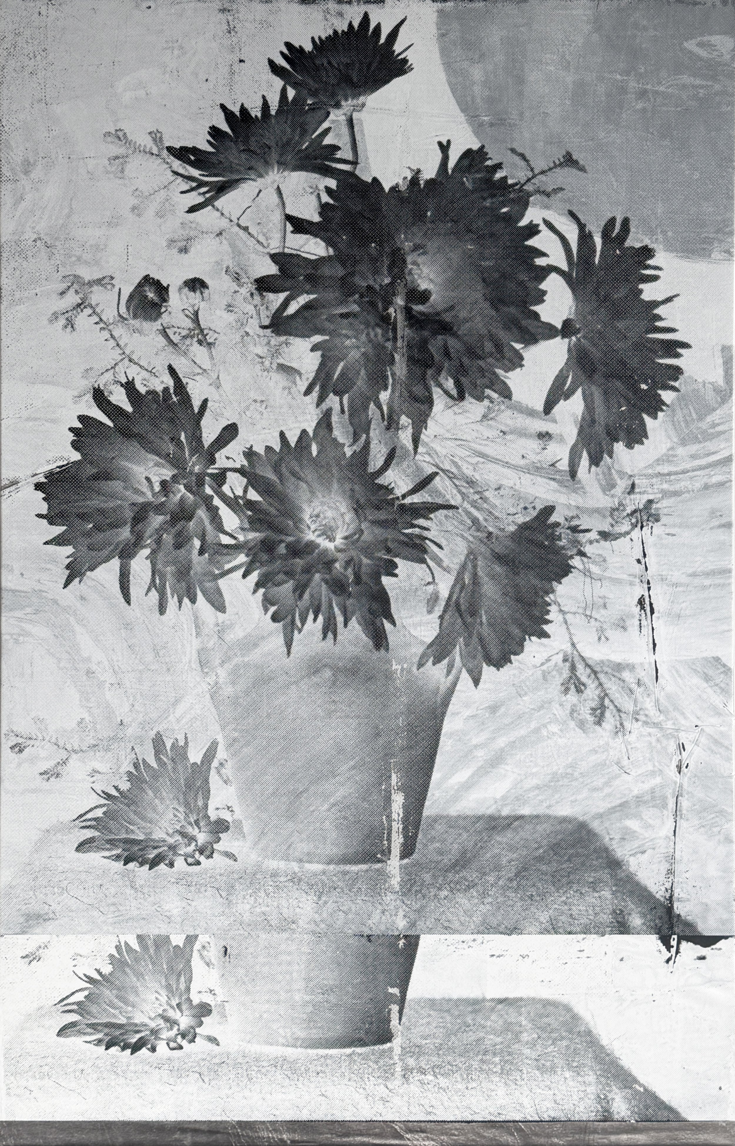 IMG_4055 chrysanthemum.jpg