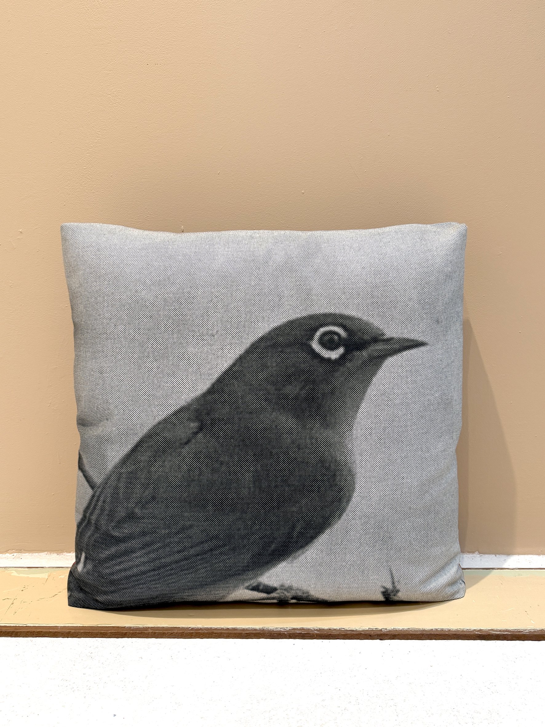 silvereye.jpg
