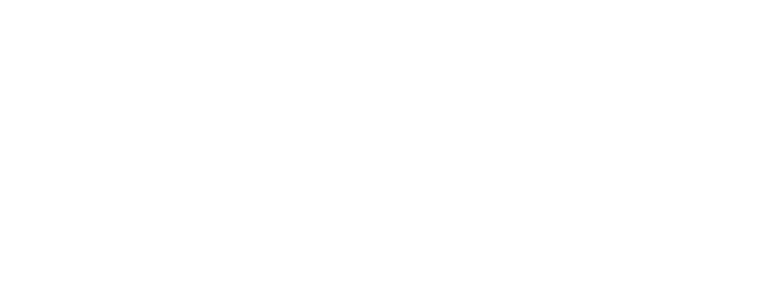 Iron Bear Projects