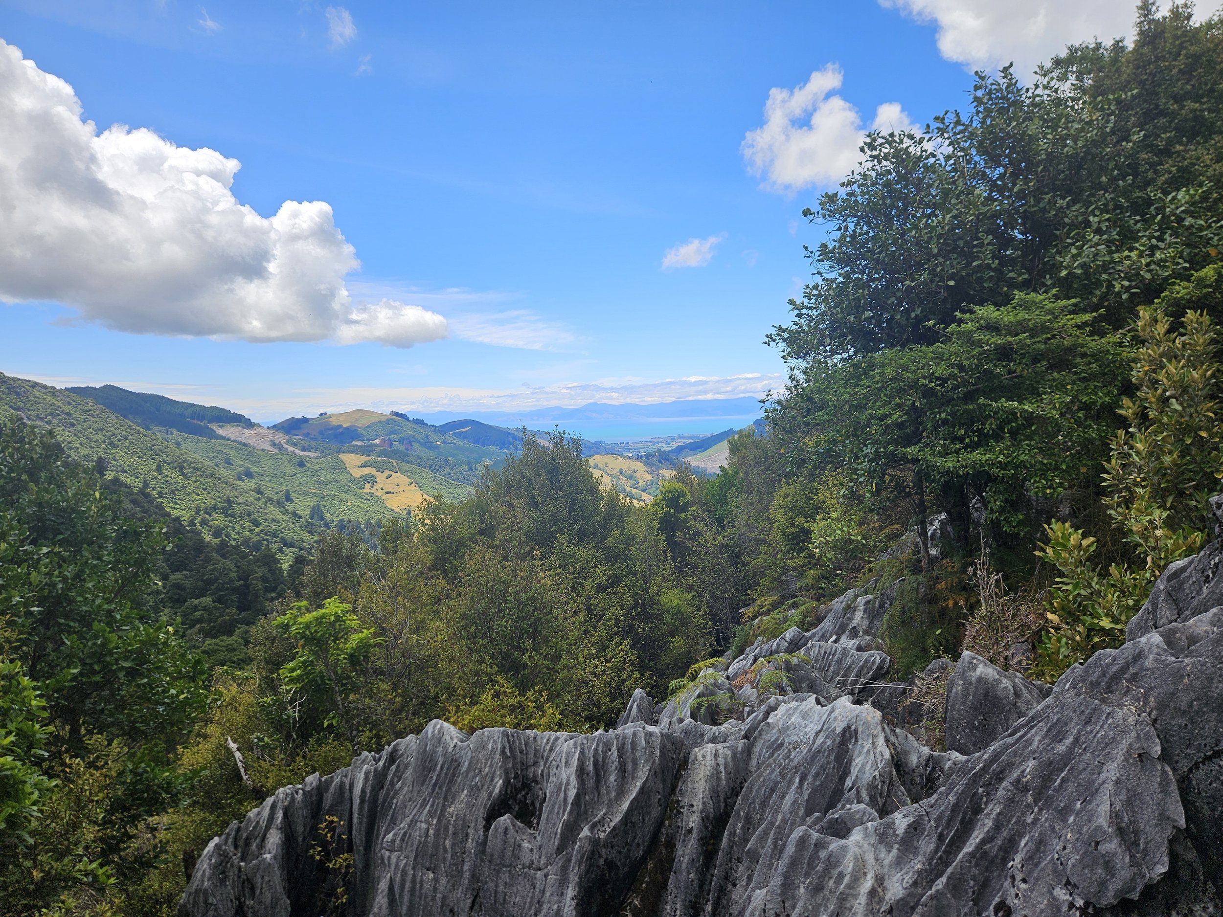 From Funding to Field: Why Biodiversity Is Becoming the Next Frontier