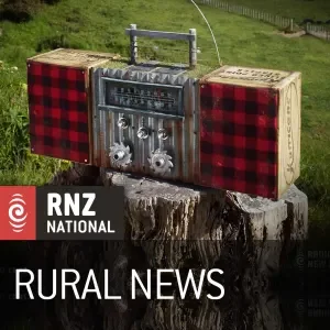 A vintage-style portable radio with red plaid speaker covers, set on a tree stump in a grassy outdoor area, with a fence in the background. The image includes RNZ National logo and text indicating 'Rural News'.
