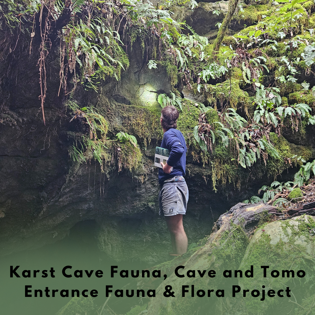 Copy of Vespula Wasp Control (1).png