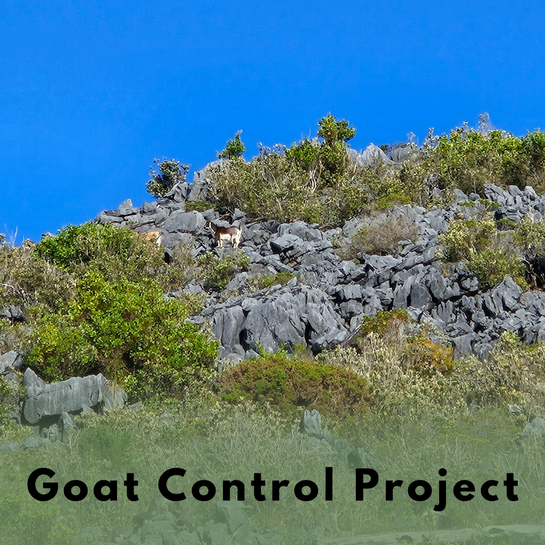 Goat Control Project (1).png