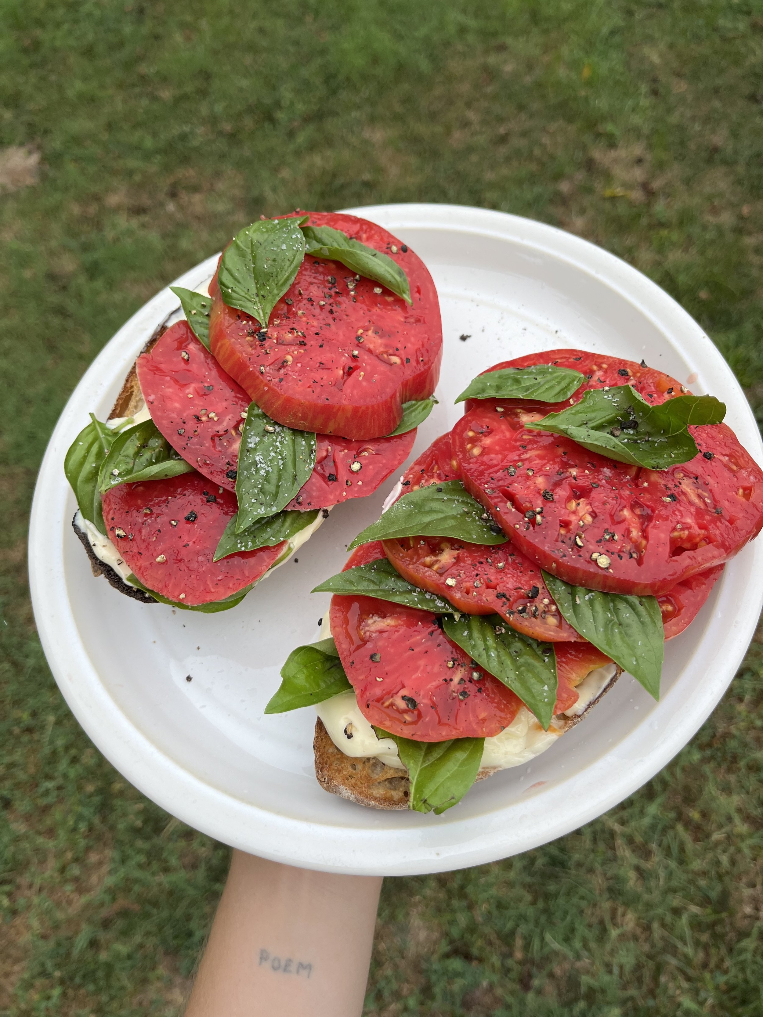 Tomato Sandwich with Basil Aioli