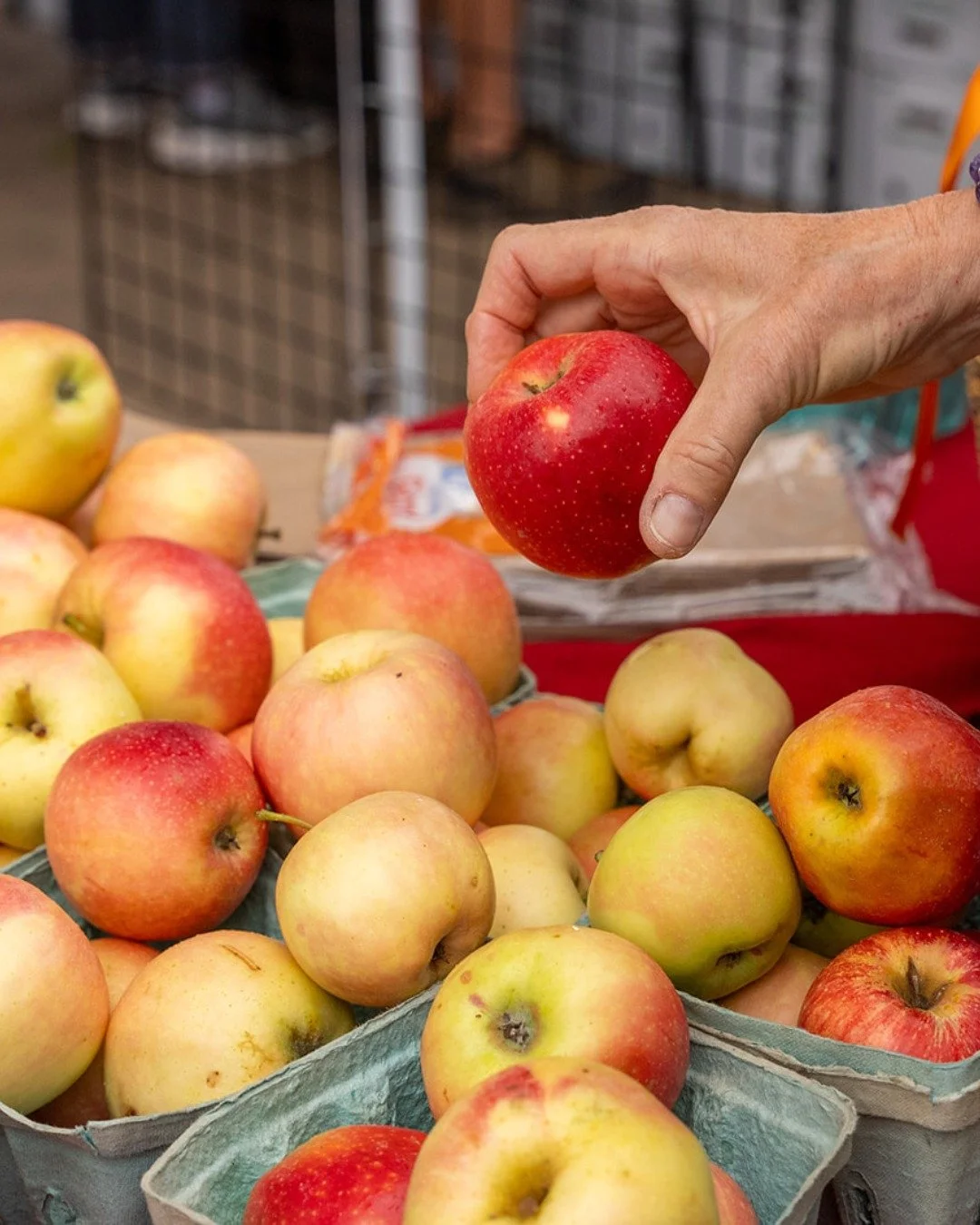 What are you doing Tuesday? Visiting the Tuesday Market from 8am - 1pm duhhhhhhhhhh! Shop fall favorites and fresh, hot breakfast and lunch options! See you there 🍎

#Lovevamarkets #farmersmarket #farmersmarkets #farmersmarketfinds #shoplocal #buylo