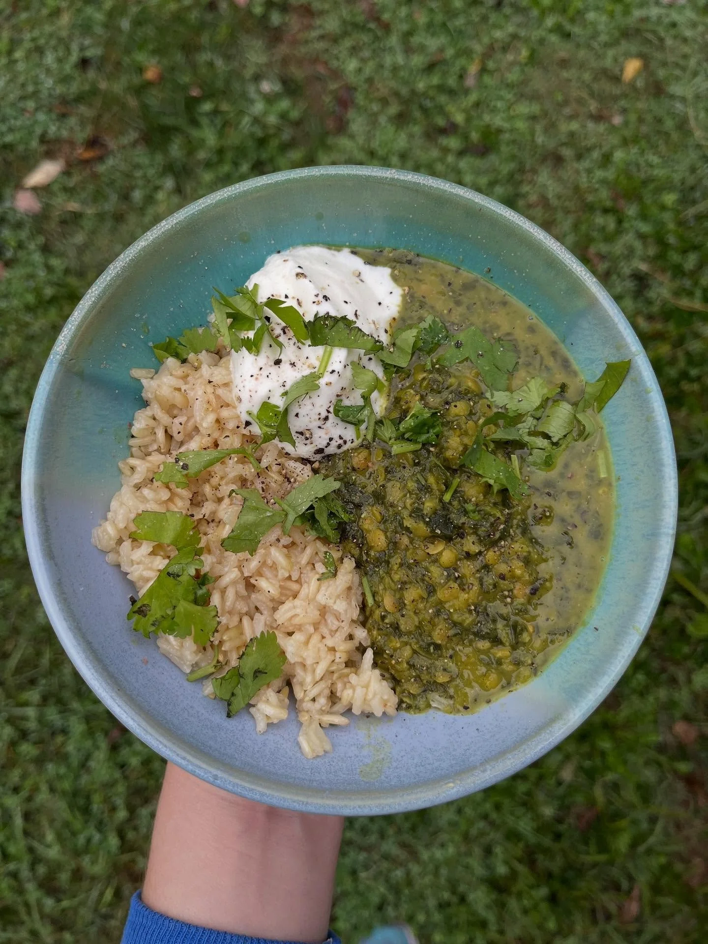 Recipe of the week! Daal Saag, or Spinach Curry with Lentils. This dish is a great way to be like Popeye and get your spinach in 🌱 the stewed lentils get soft and creamy, creating a comforting, nourishing lunch or dinner dish. Subscribe for the reci