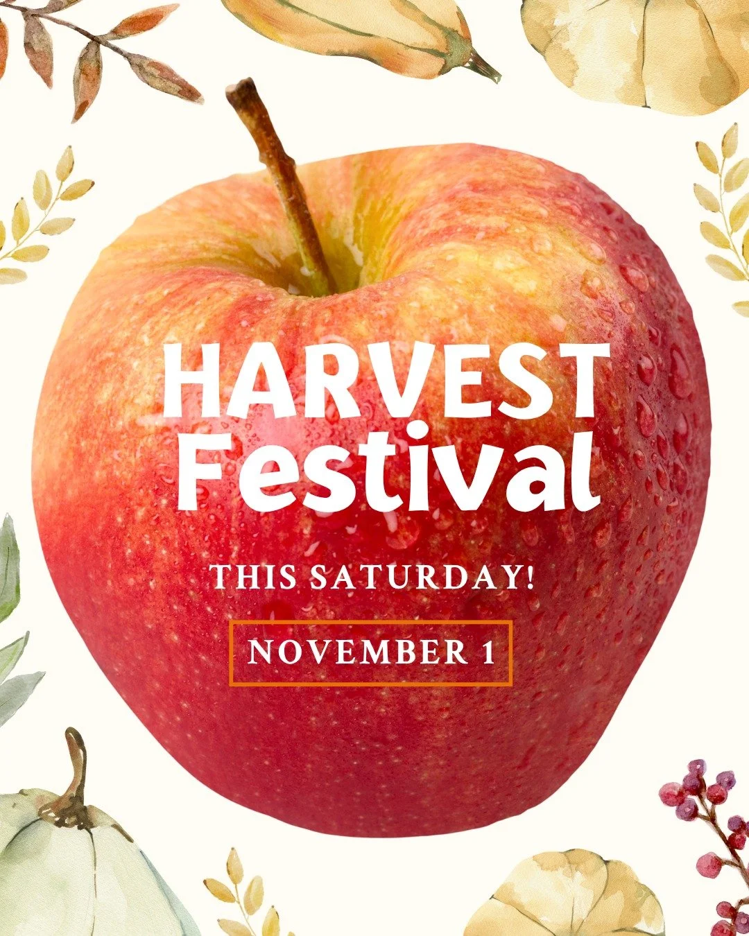 Harvest Fest is this Saturday, Nov. 1, 8am - 1pm! Enjoy live music, bubbles with @bubblesbytheburg, enter our pie baking contest or enjoy samples, and explore many family-friendly hands-on activities and games. 

JMU Sports &amp; Rec Management stude