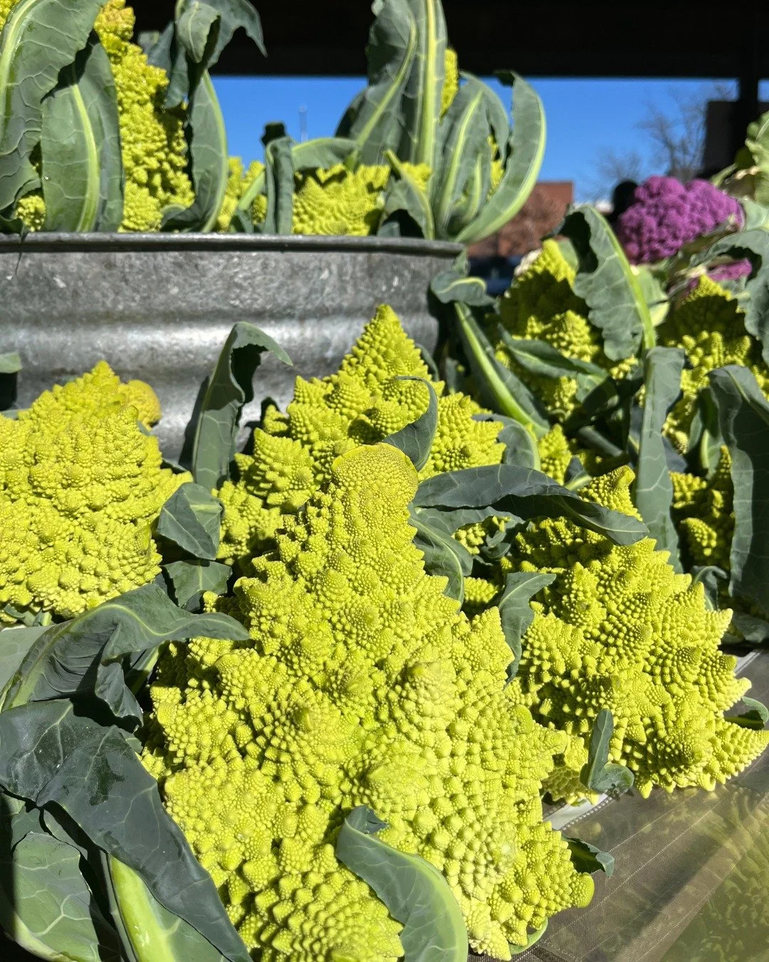 Good morning, Harrisonburg! It's romanesco season! Find this neon green, geometrically satisfying, sweet cauliflower at Portwood Acres booth. Roast or steam, and sprinkle with olive oil, lemon juice, and parmesan for a satisfying side. All that and m