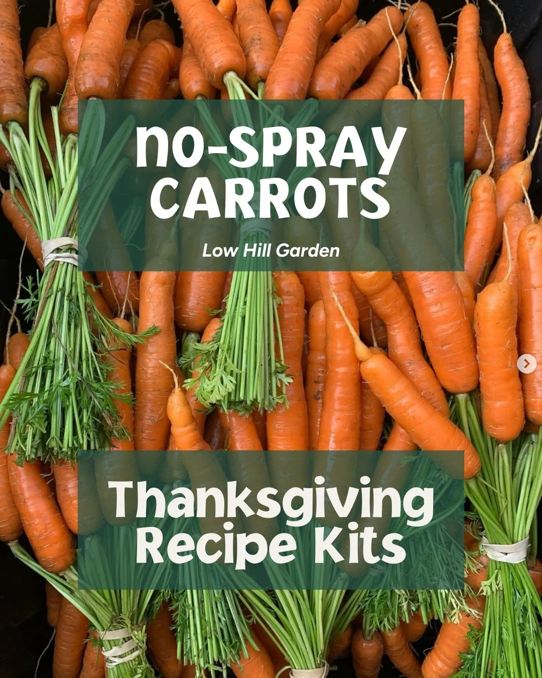 Put local food on your holiday table this year with @lowhillgarden! You'll find Tim's produce in a handful of our Thanksgiving Recipe Kits this year: Honey Glazed Carrots, Garlic Mashed Potatoes, and the brine for the Maple Roast Turkey or Chicken. 
