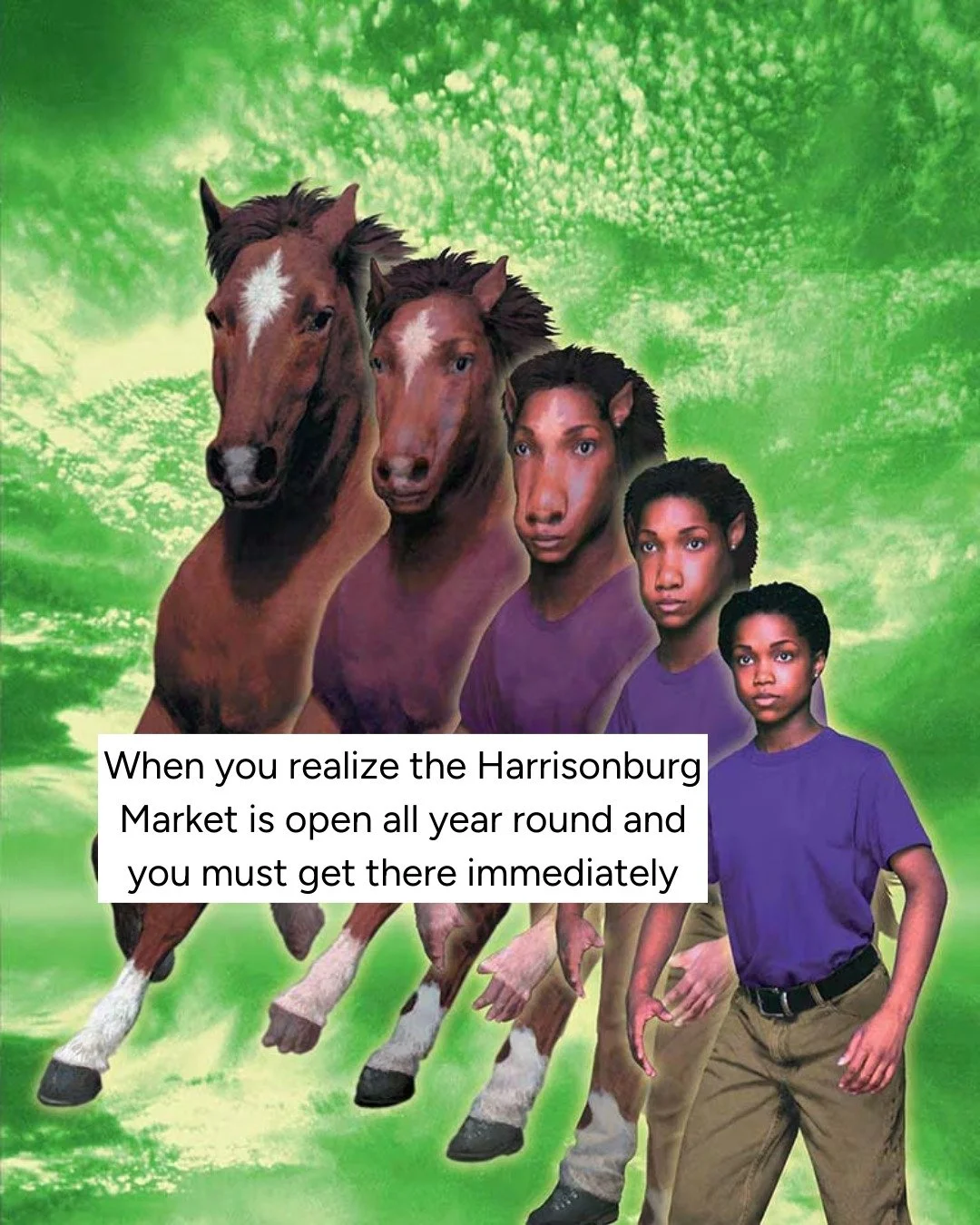 That's right, the Harrisonburg Farmers Market is open all year round - that means all winter long! Gallop on down for fresh produce and artisan goods. See you there, 9am - 1pm!

#lovevamarkets #farmersmarket #harrisonburgva #shoplocal #freshproduce