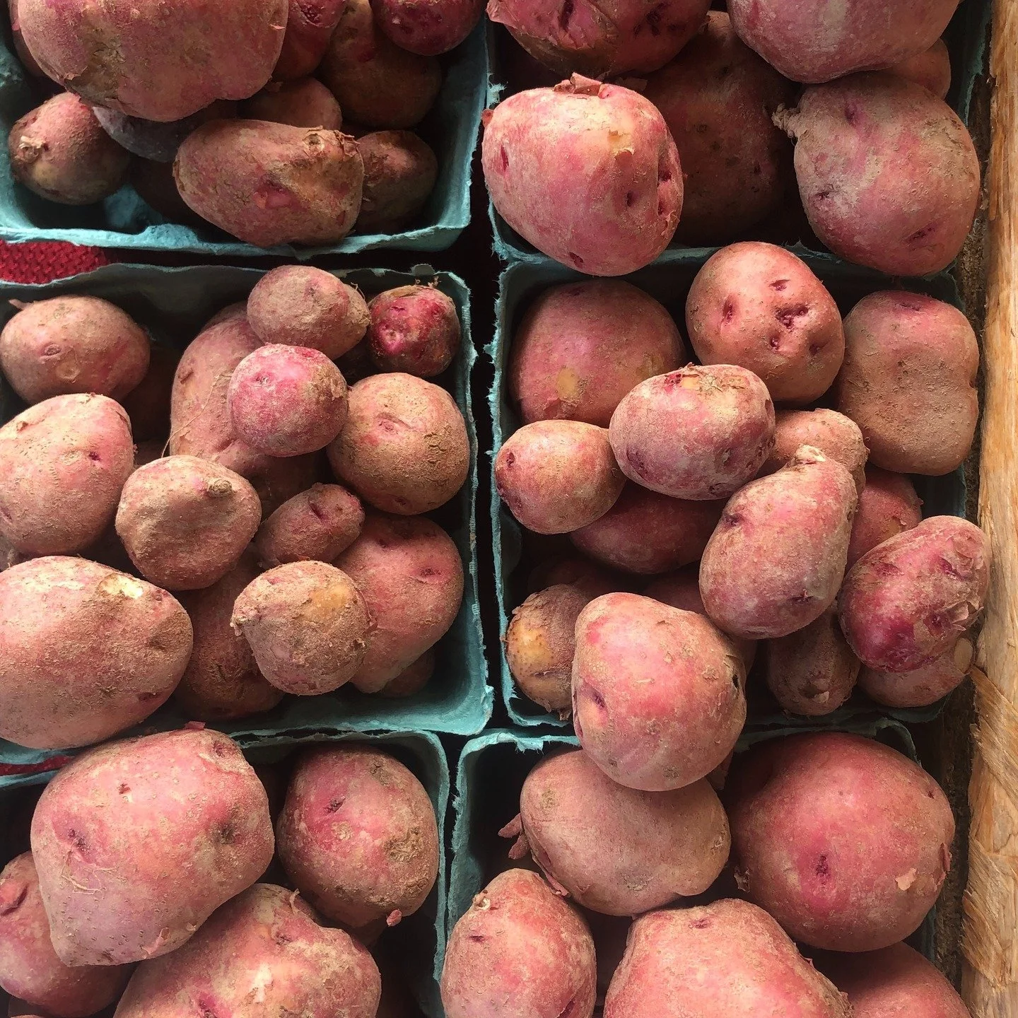 There's a snowstorm a-brewin'! ❄️ Instead of panicking into buyout frenzies, ease into the offerings of our local farmers and artisans at the Market. Bundle up, come say hello and stock up with local goods for cozy, winter-ready meals&hellip;.like so